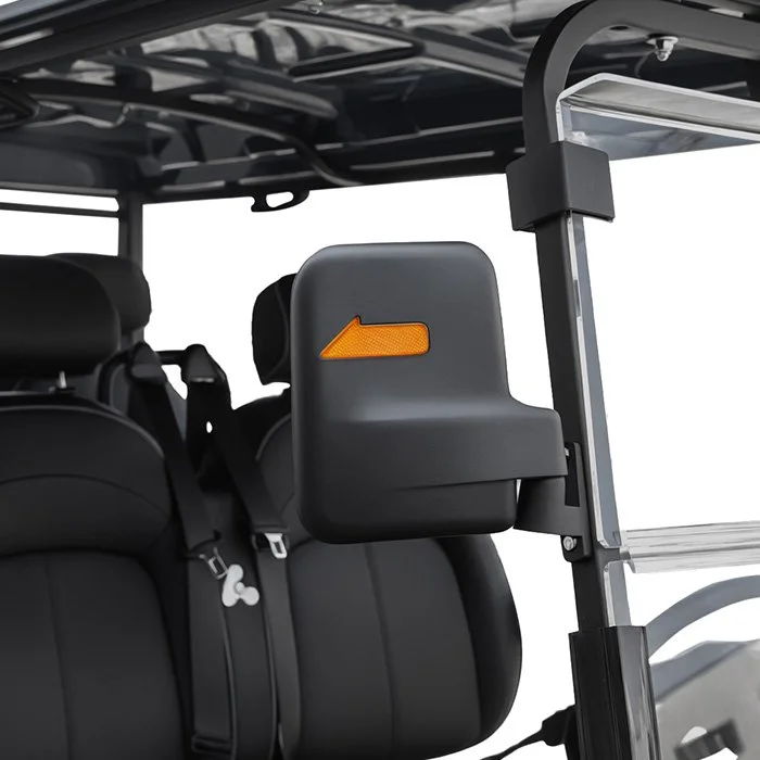 side-mirror pulse.jpg