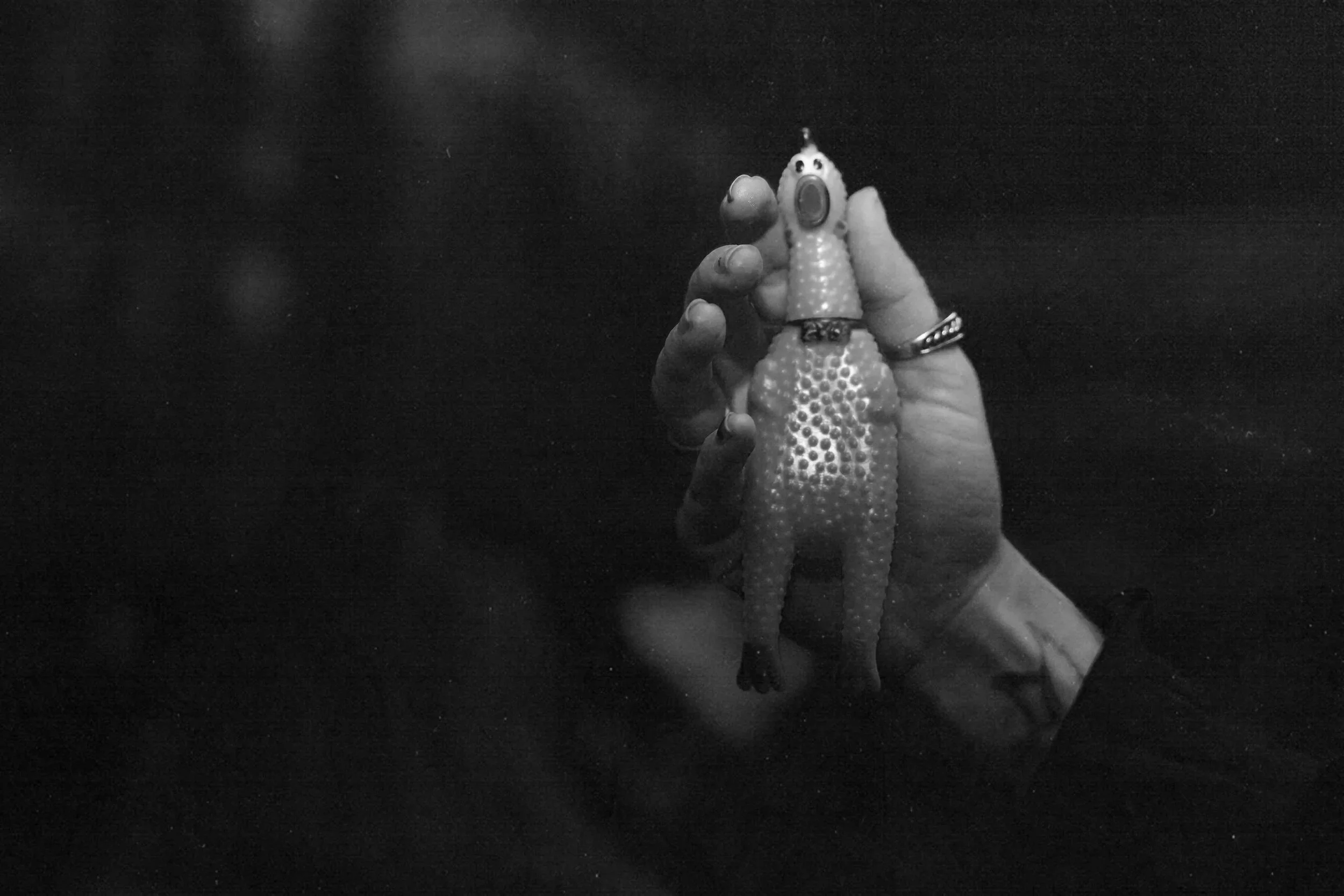 A person holding a small, textured toy sea creature resembling a fish or frog, with a round body, tiny limbs, and large eyes, through a glass window in a black and white photo.