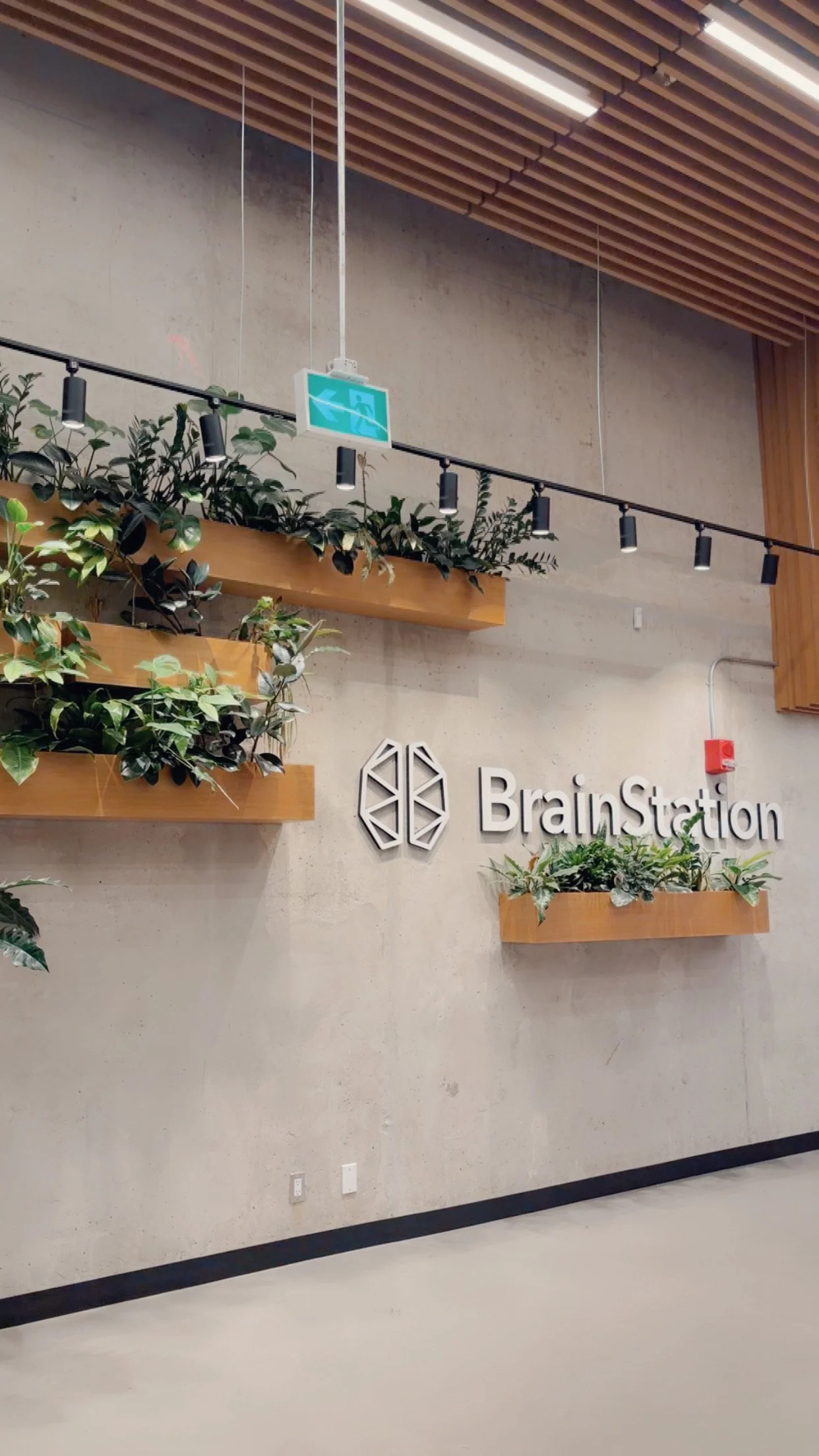 INSIDE TIKTOK’s CREATOR ECONOMY - WHAT WE LEARNED AT BRAINSTATION 
