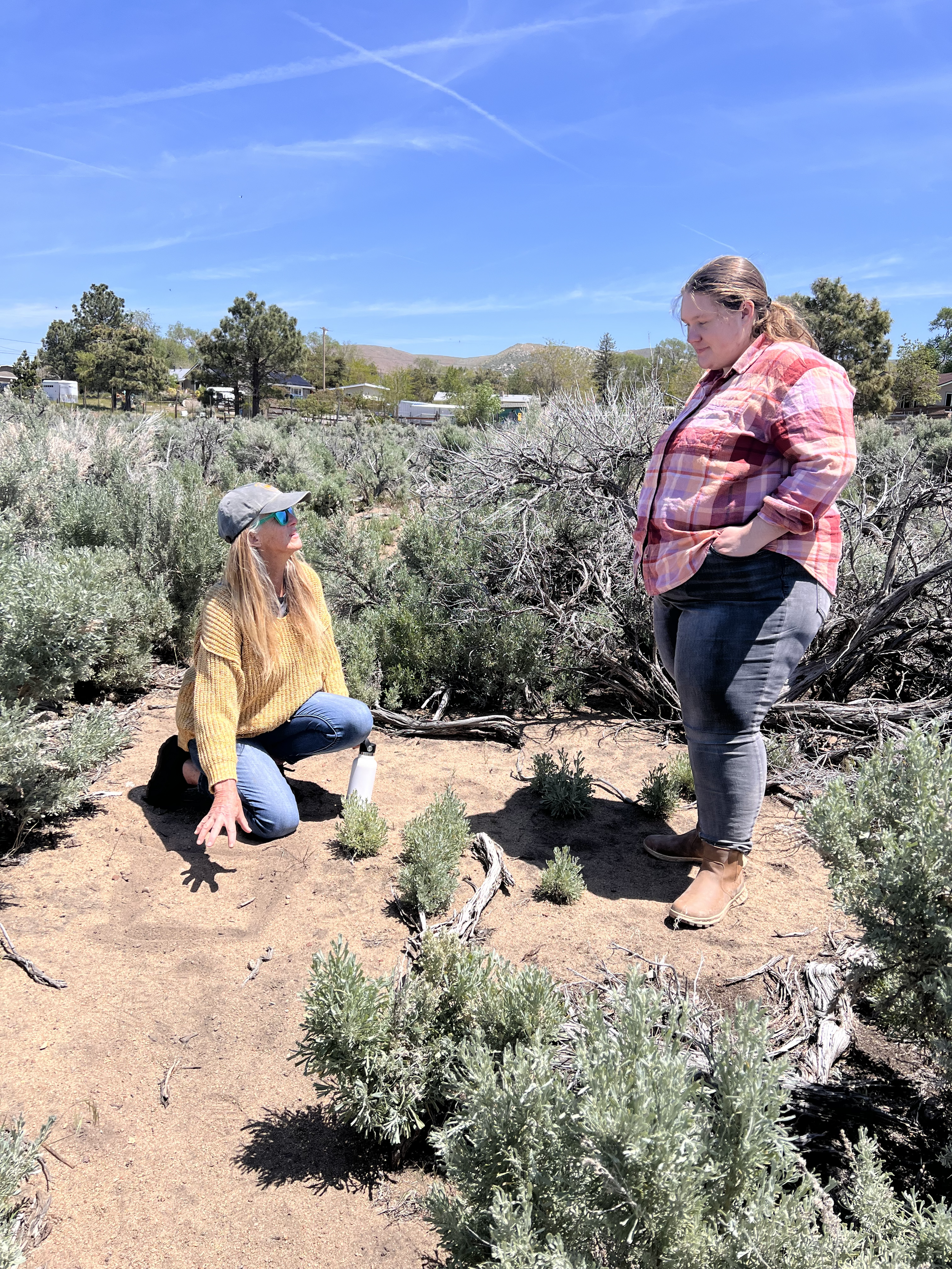 Self-Care with Horses: Experience Equine-Assisted Coaching