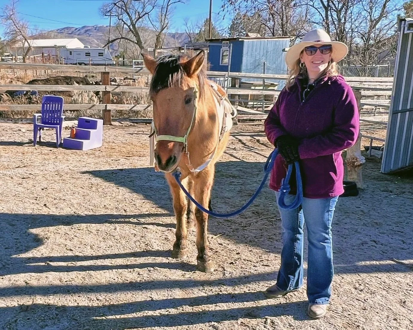 Monthly Equine-Assisted Coaching Membership