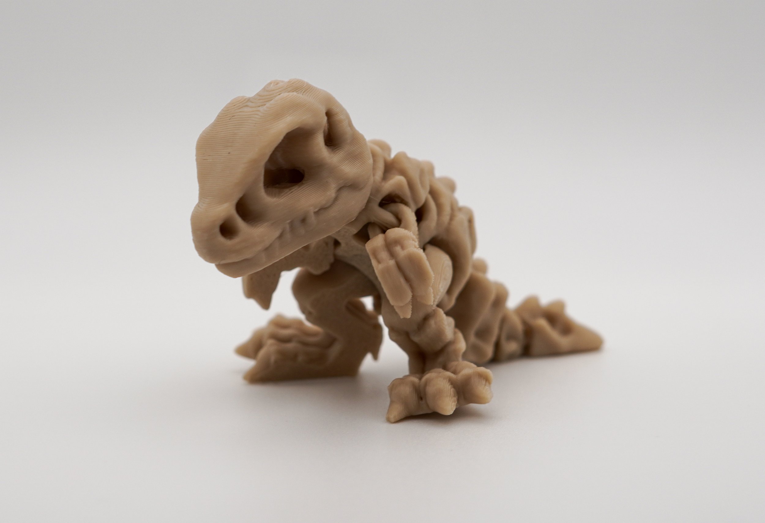 Articulated T-Rex Skeleton
