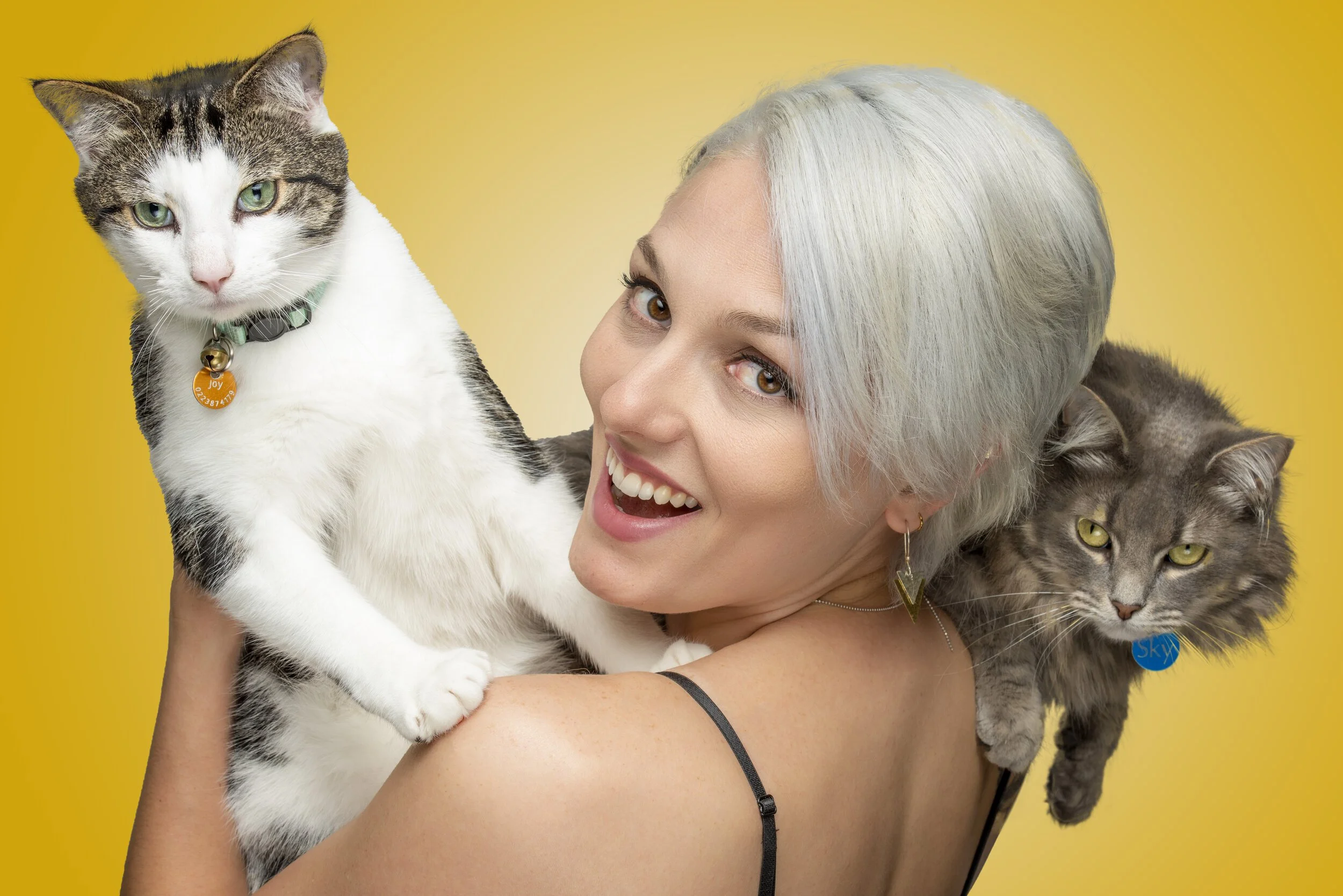 A person with short, light hair smiling, holding two cats, one gray and one white with brown patches, against a yellow background.