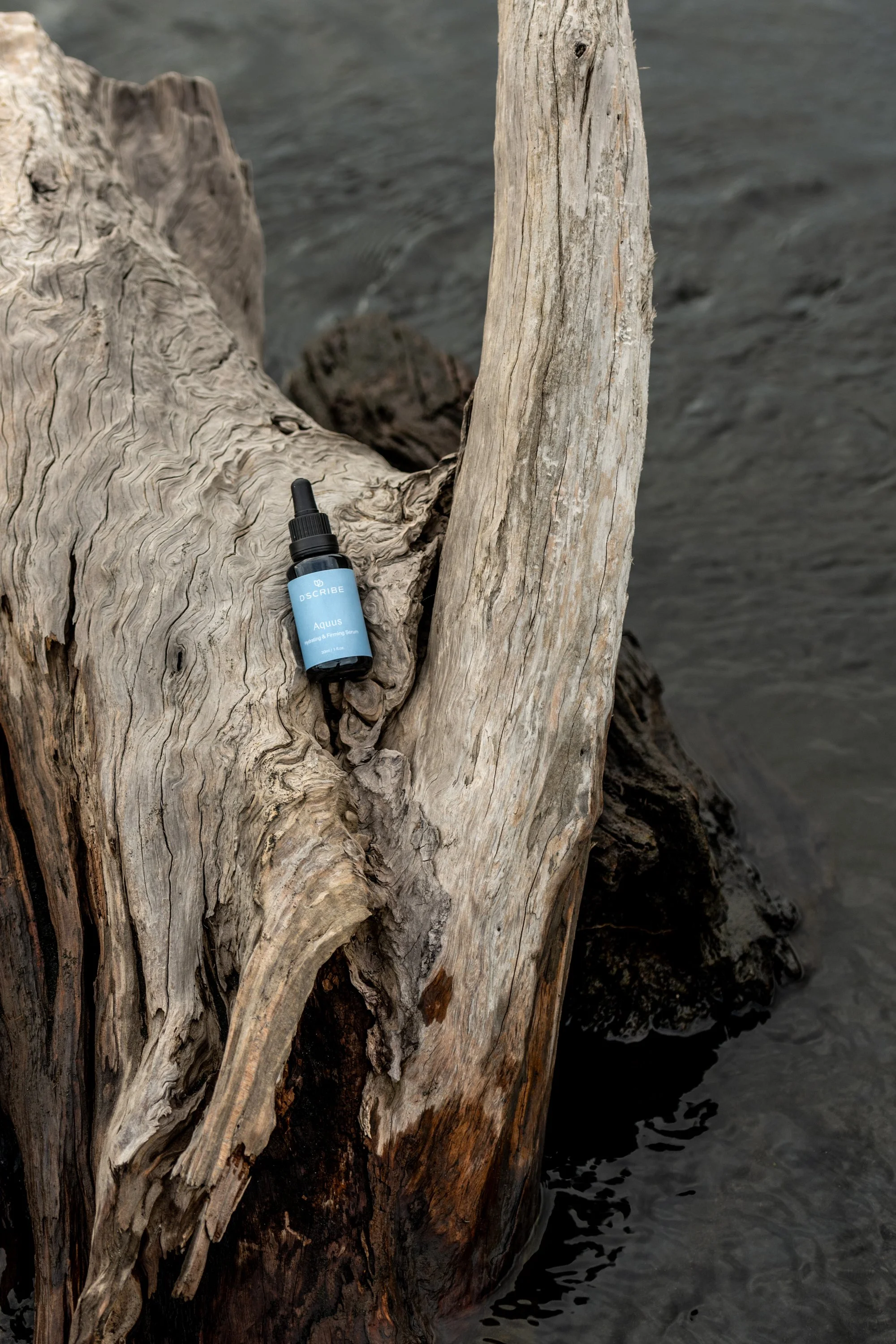Bottle of serum on driftwood by water.