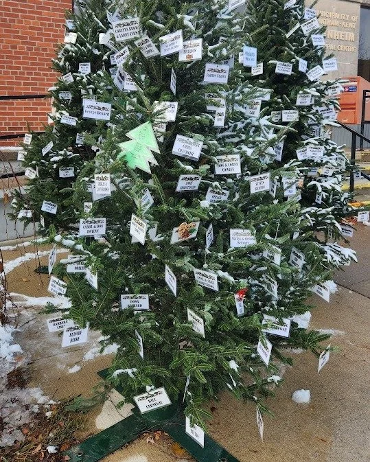 2025 is the 16th year the Blenheim Community Funeral Home has set up the cherished Christmas Memorial Trees outside the Blenheim Post Office. This meaningful tradition invites our community to remember loved ones who have passed, with ornaments place