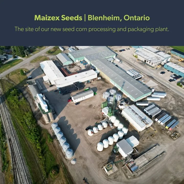$8.8 million investment coming to Blenheim
The Blenheim BIA has been notified of the following news release issued by Maizex Seeds. This announcement showcases a major investment by the company into the future of their seed corn processing packaging 