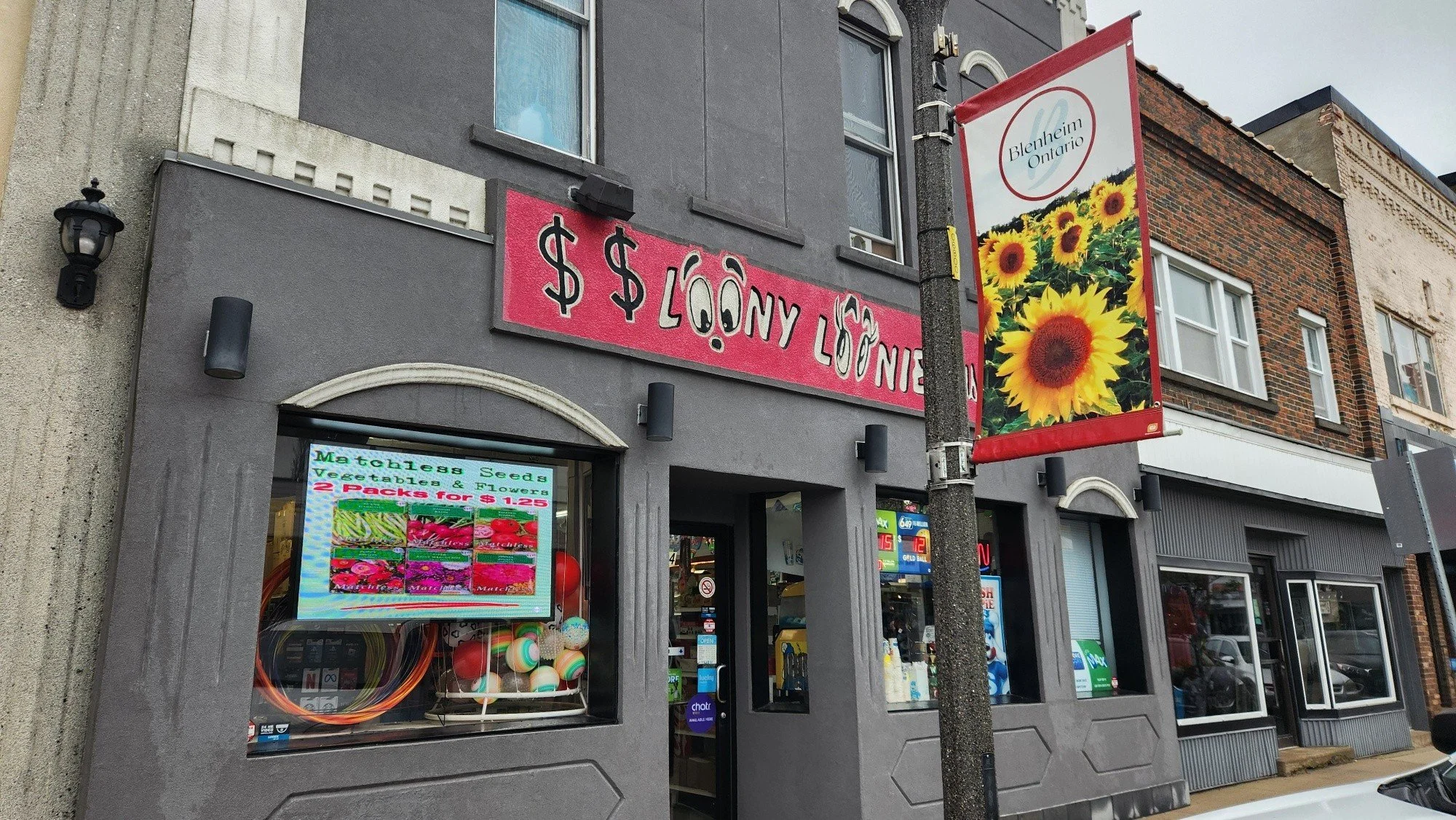 Even on a rainy Saturday afternoon, downtown Blenheim is a charming and upbeat community. 

It's always a great time to visit :)