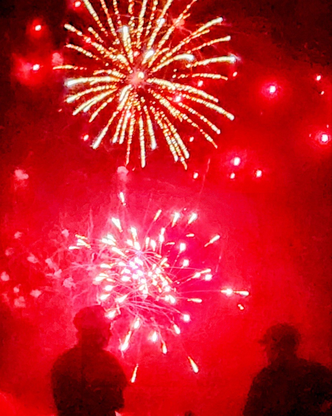 The Blenheim and Erieau fireworks shows were fantastic! Thank you to all of the volunteers and groups that work hard to put them on. You make the communities sparkle.