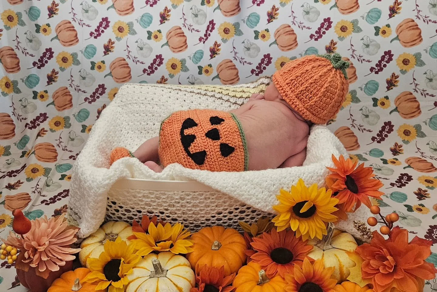 Fall newborn photography🤎🎃 #newbornphotography  #falldecor  #fallvibes #riversidephotographer  #orangecountyphotographer