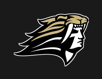 Stylized profile of a human face with flowing hair in black, white, and gold tones on a dark background.