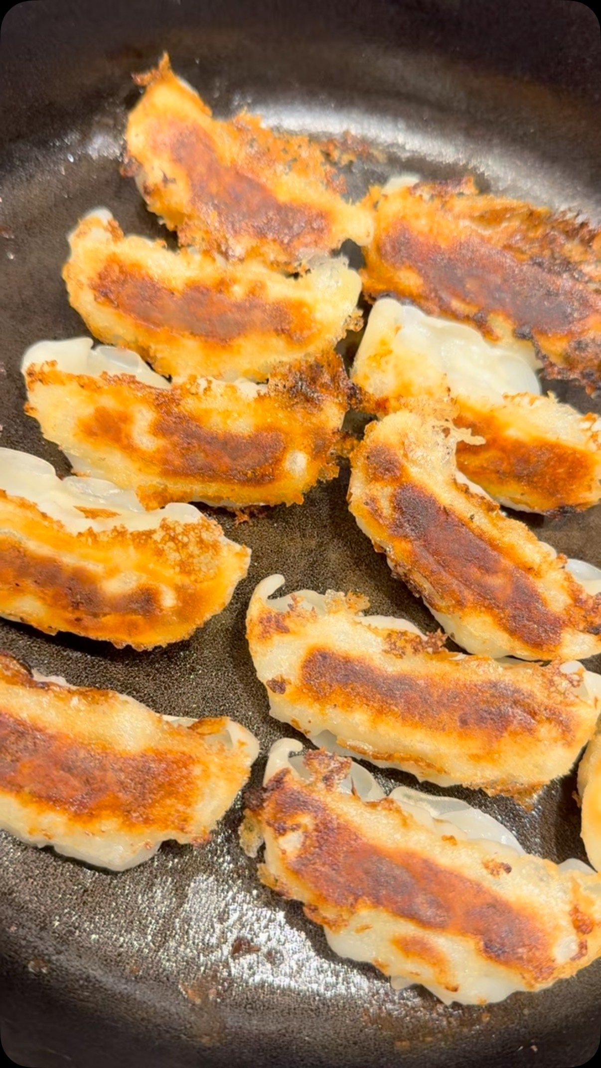 #AjinomotoJapaneseStyleGyoza
#castironskillet #castiron #foodie #lodgecastiron #gyoza #castironskilletguy.com