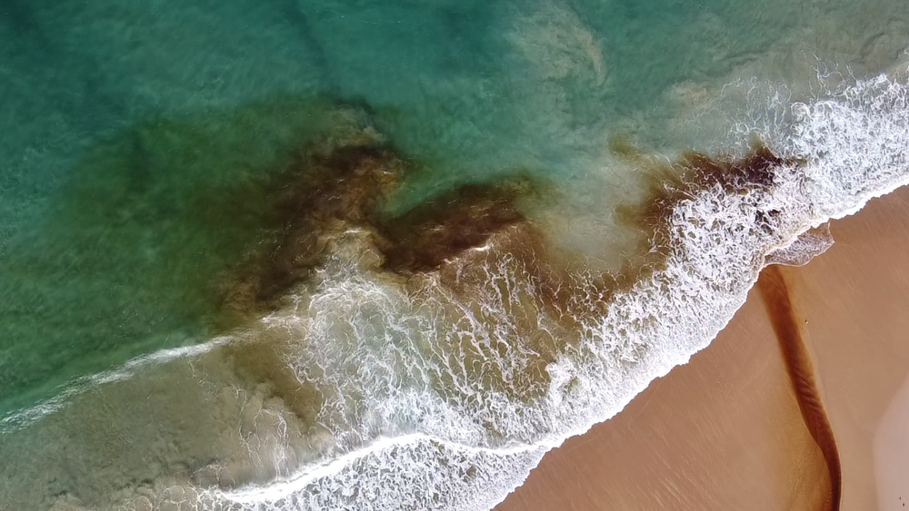 Coastal.png
