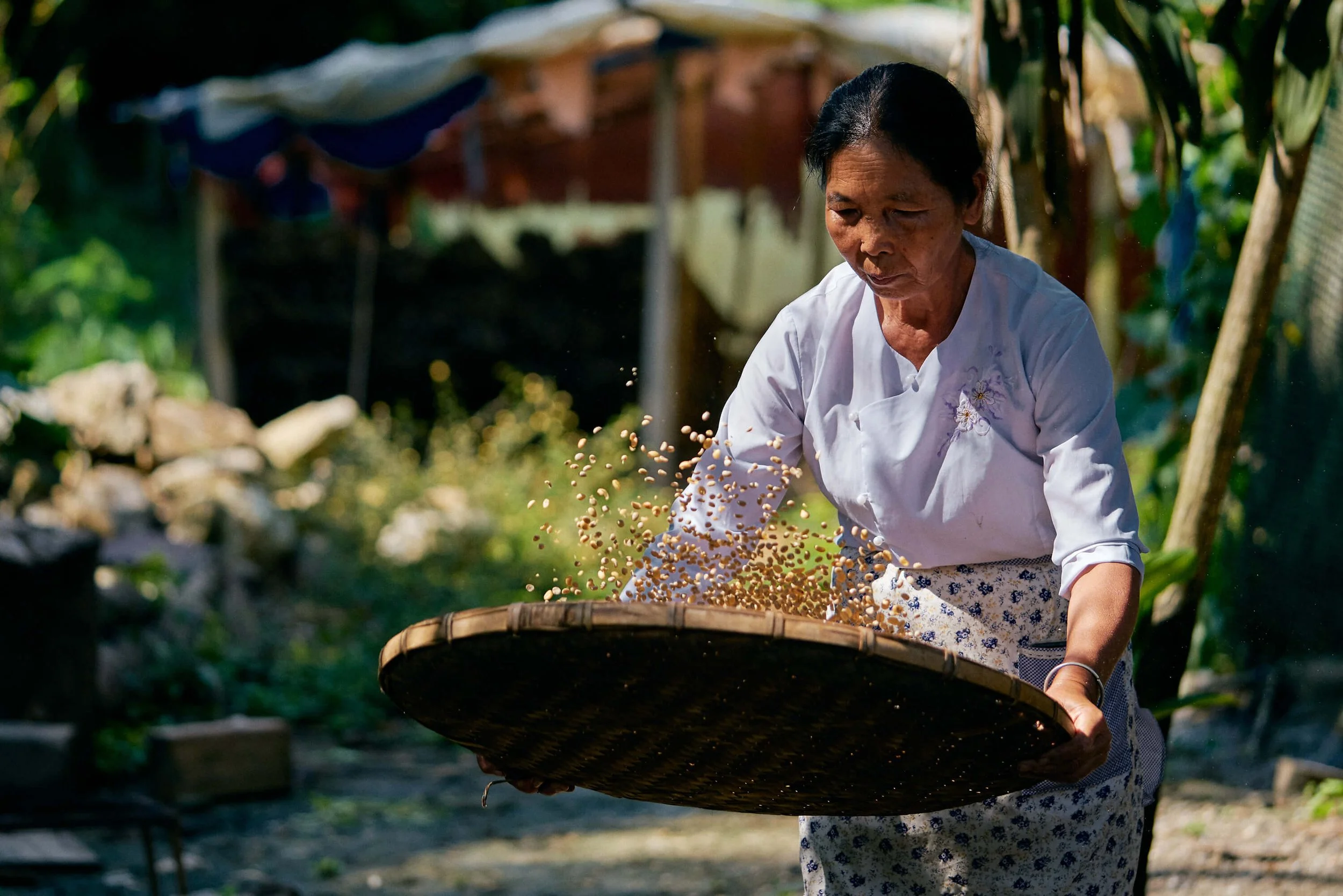 stratene-svety-yunnan-china-10-2019-94.jpg