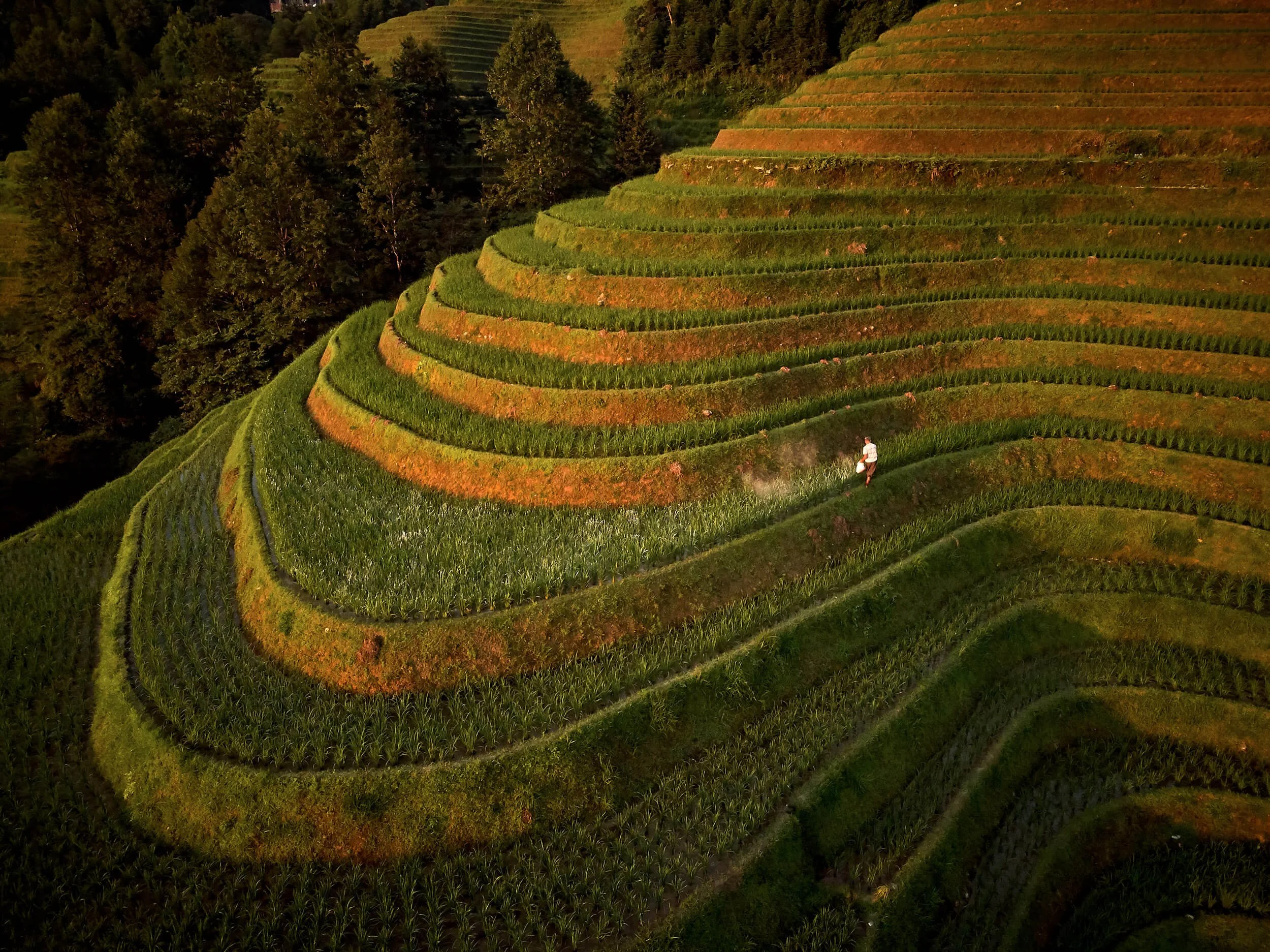 prechadzky-6-2018-guangxi-longsheng-longji-41.jpg
