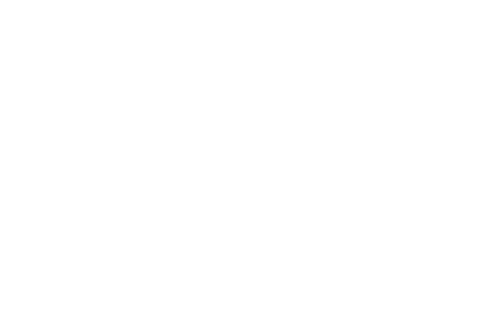 BEST DOC NOMINEE - The African Film Festival - 2026.png
