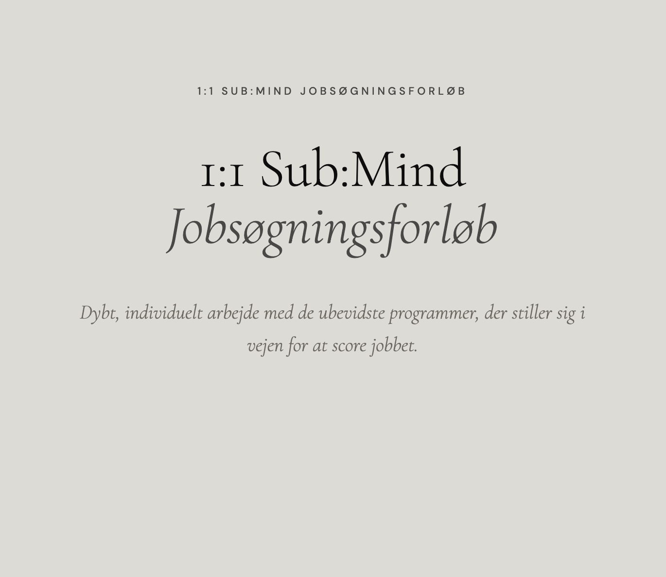 1:1 Sub:Mind Jobsøgningforløb
