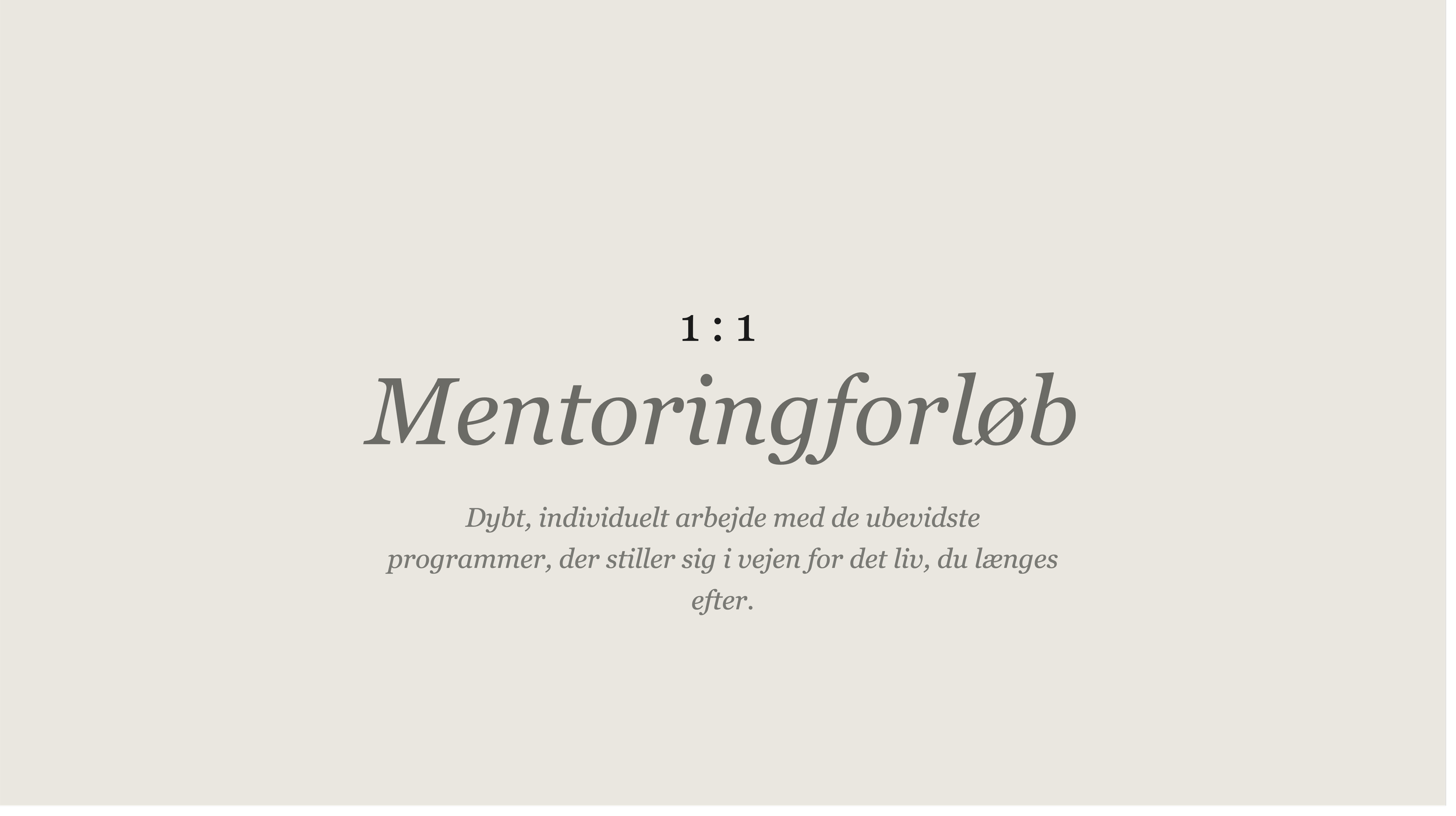1:1 Mentoringforløb