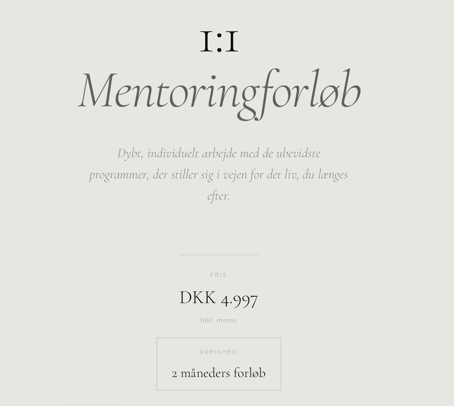1:1 Mentoringforløb