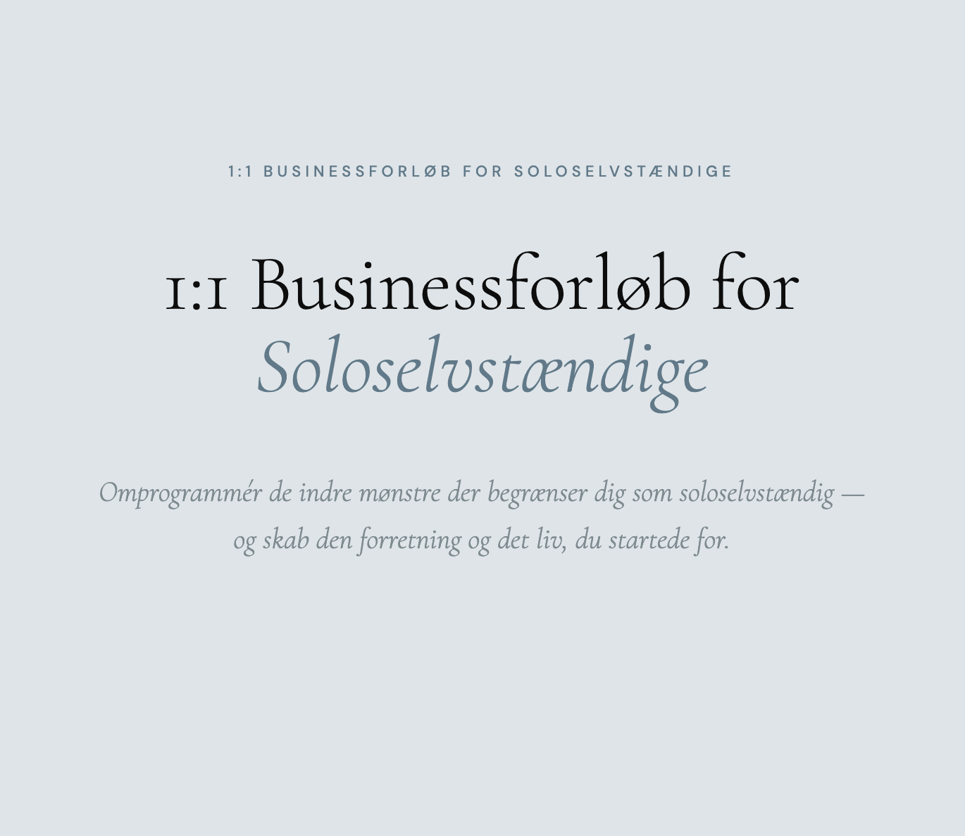 1:1 Susinessforløb for soloselvstændige