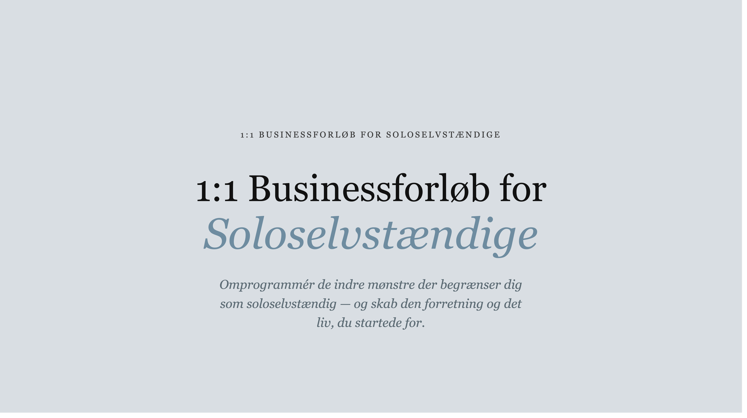 1:1 Businessforløb for soloselvstændige
