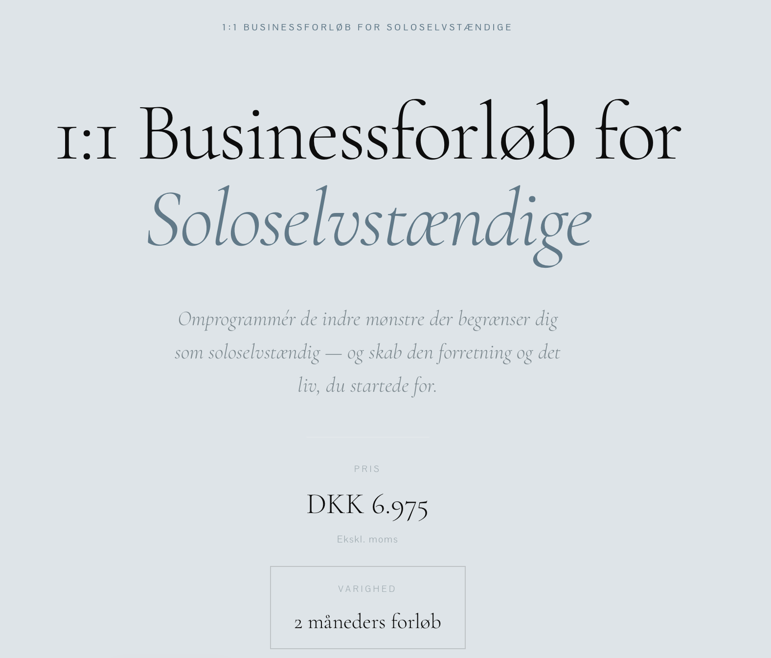 1:1 Businessforløb for soloselvstændige
