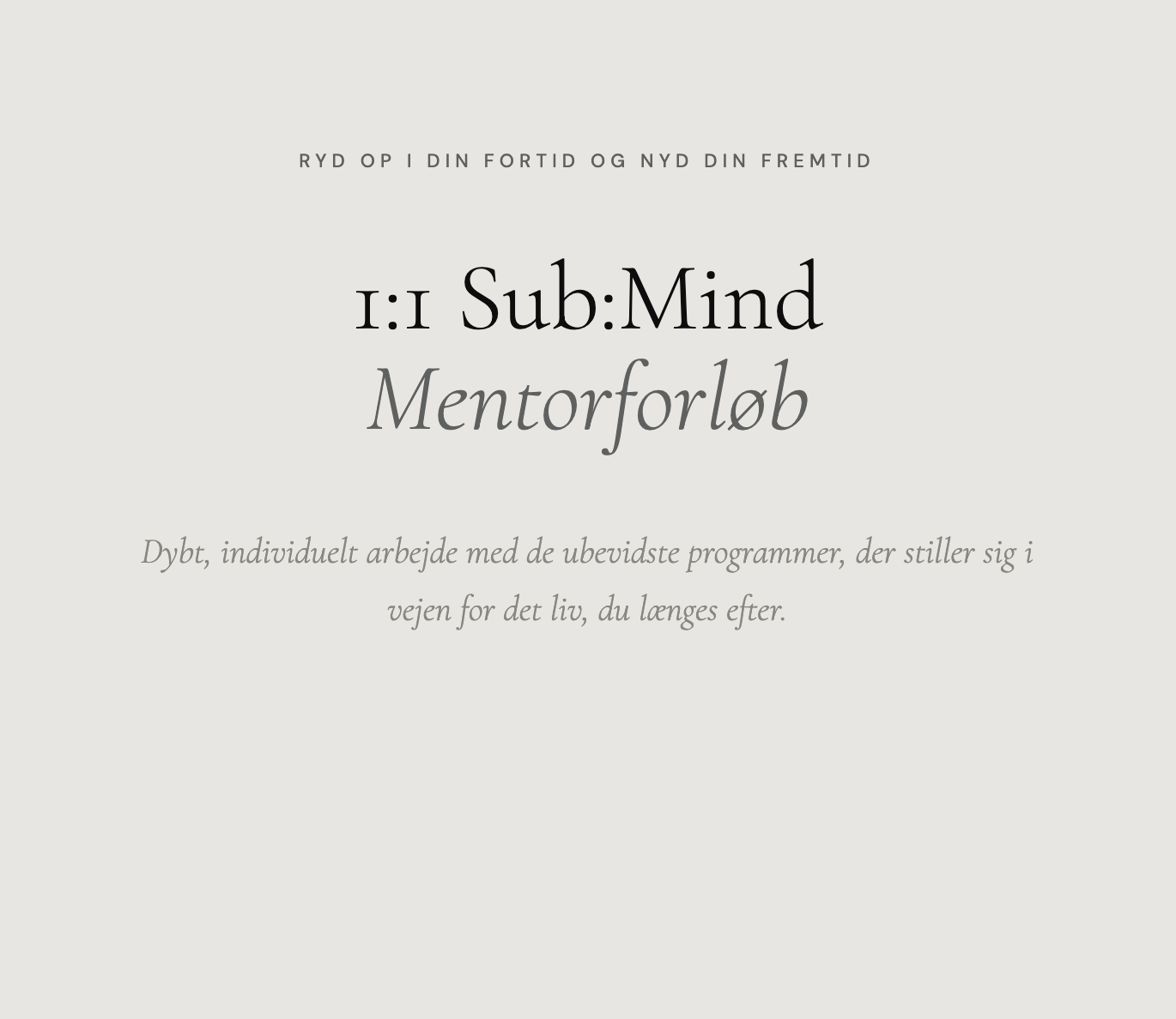 1:1 Sub:mind Mentorforløb