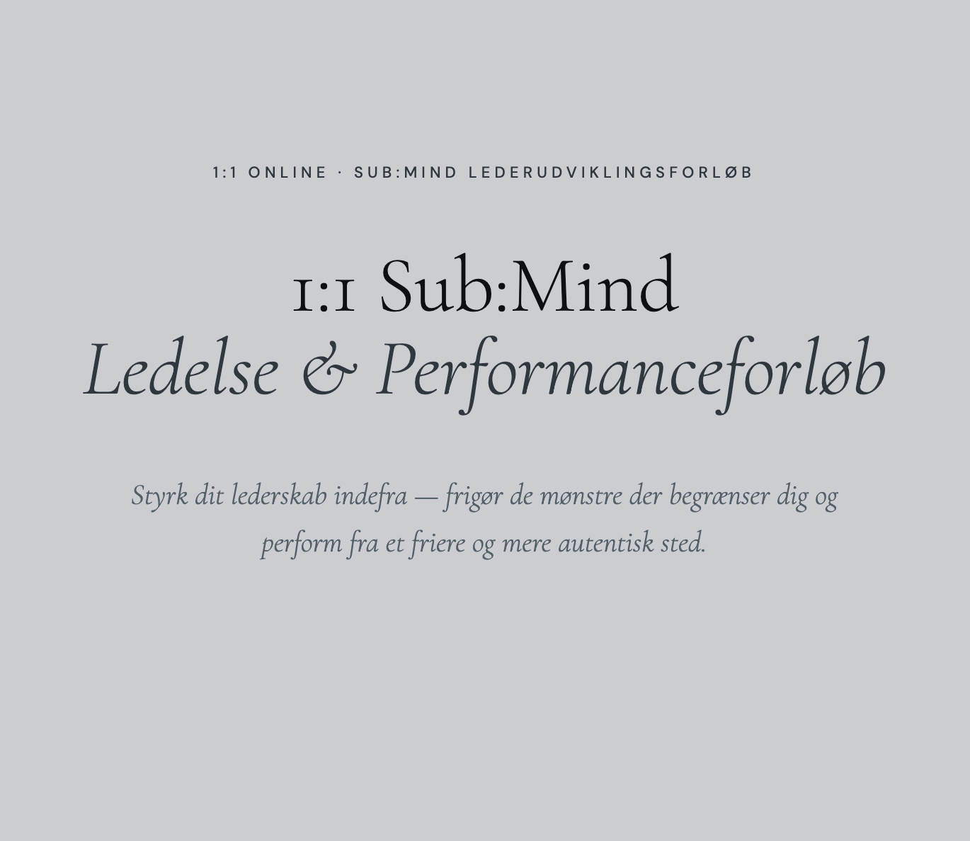 1:1 Ledelse & Performanceforløb