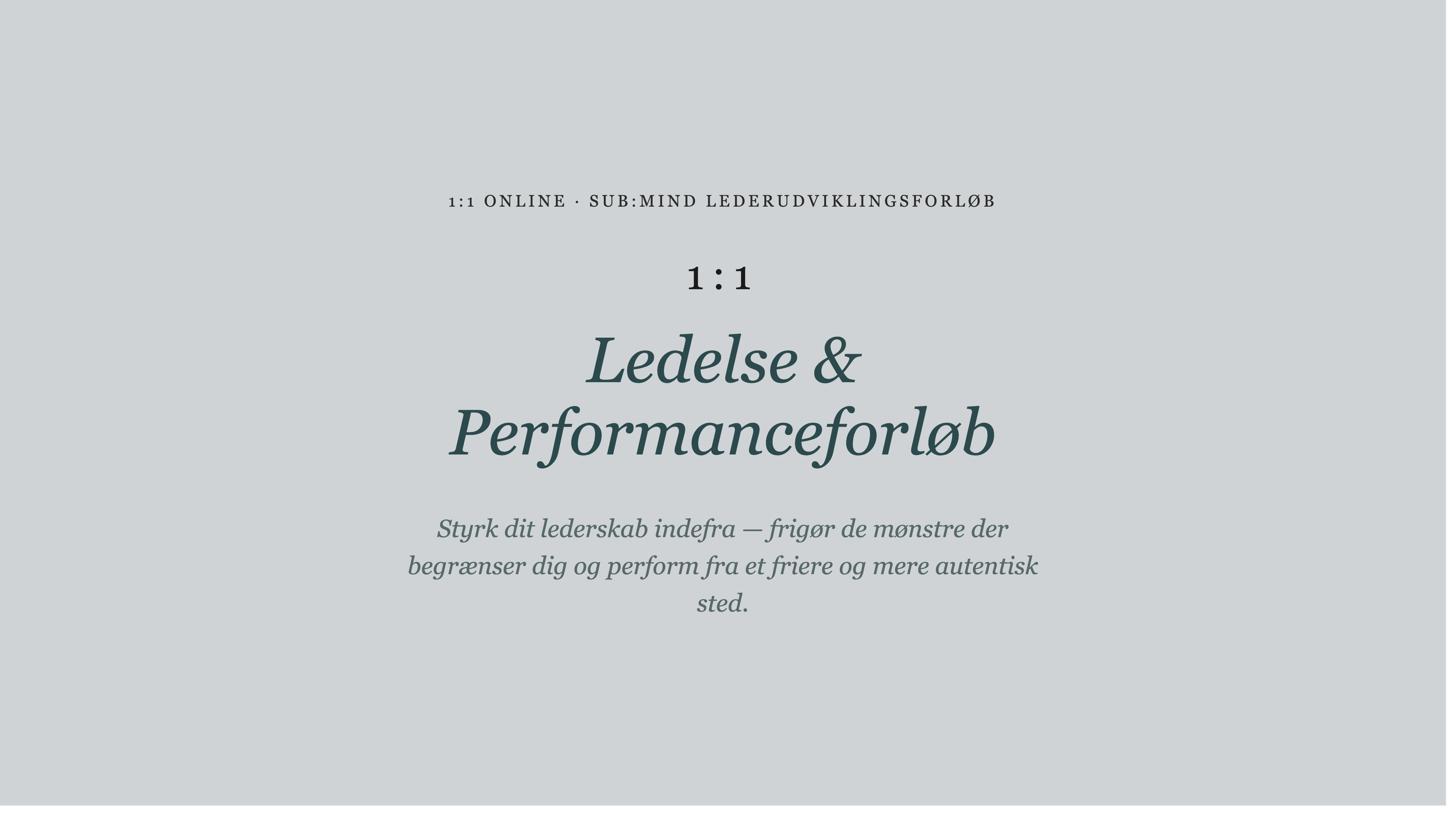 1:1 Ledelse & Performanceforløb