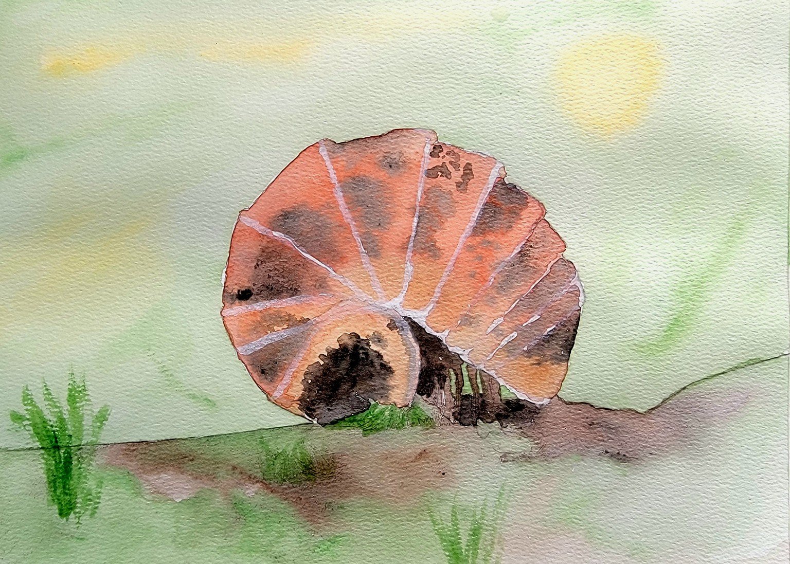 Where Armor Rests - A curled isopod sleeps beneath blades of grass, shielded in quiet resilience.