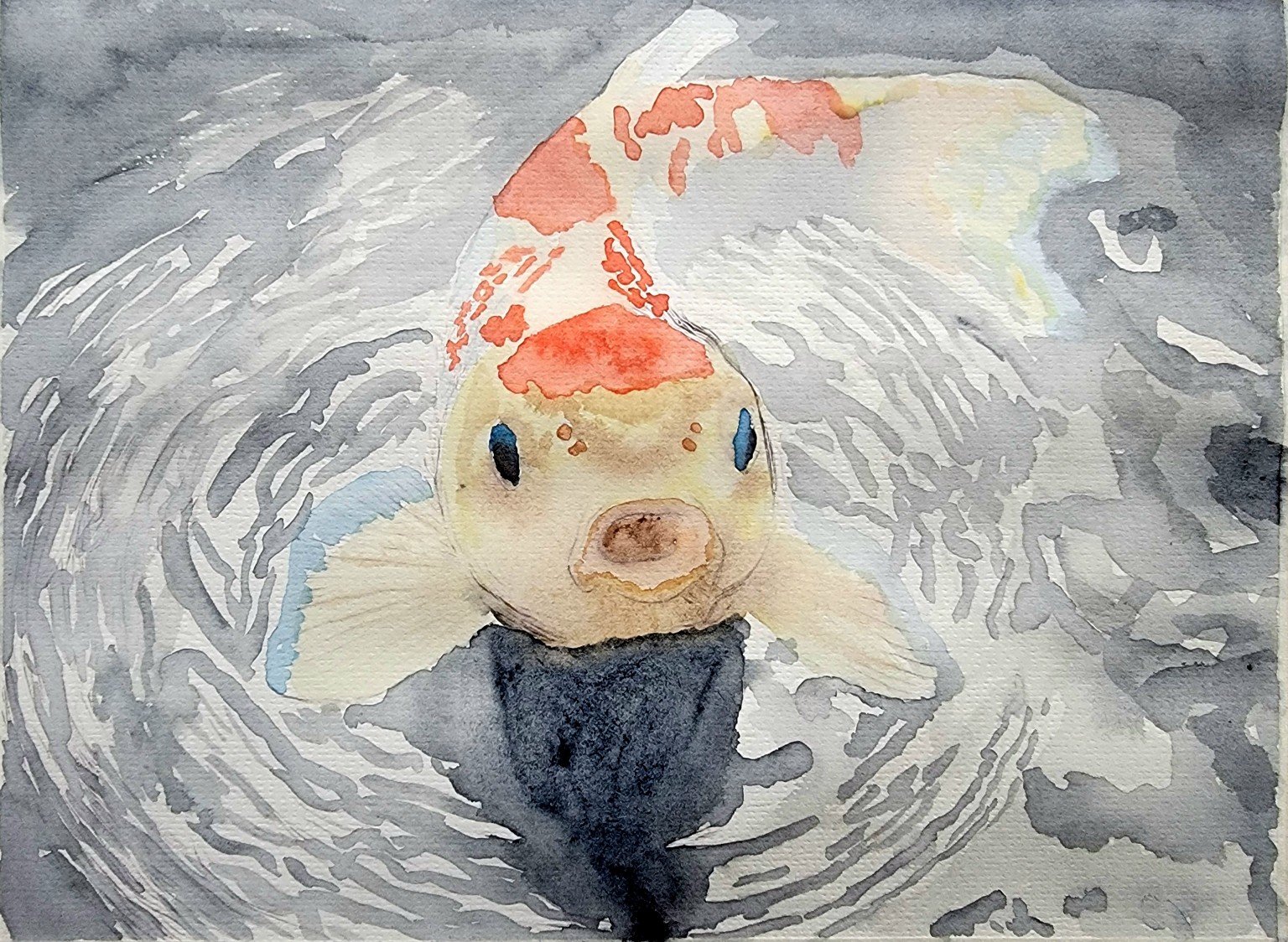 Stillness in Motion - A lone koi glides beneath the surface, embodying calm within quiet movement.