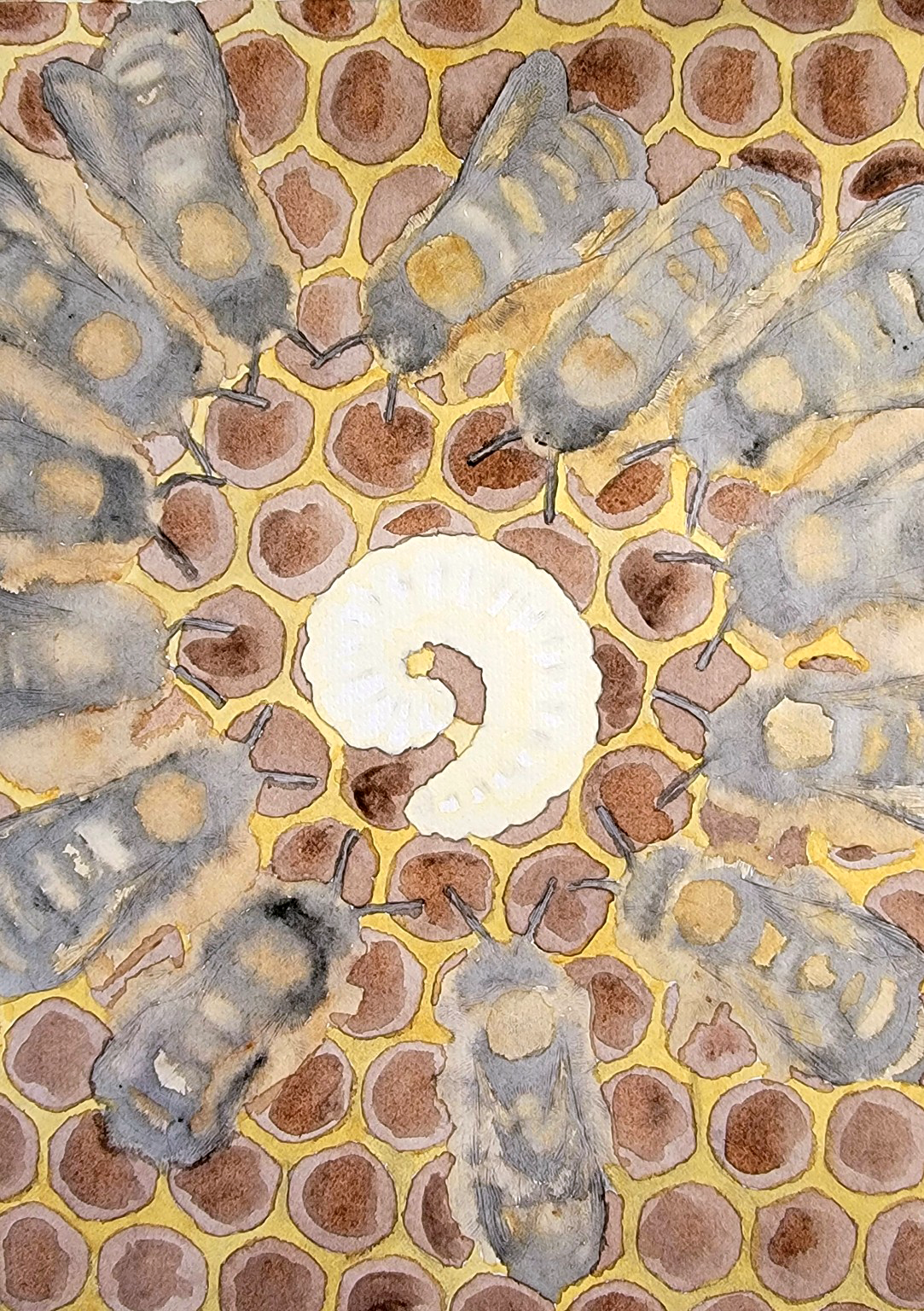 Nurturing the Queen - Worker bees encircle a larva in a scene of instinctive care and natural hierarchy.
