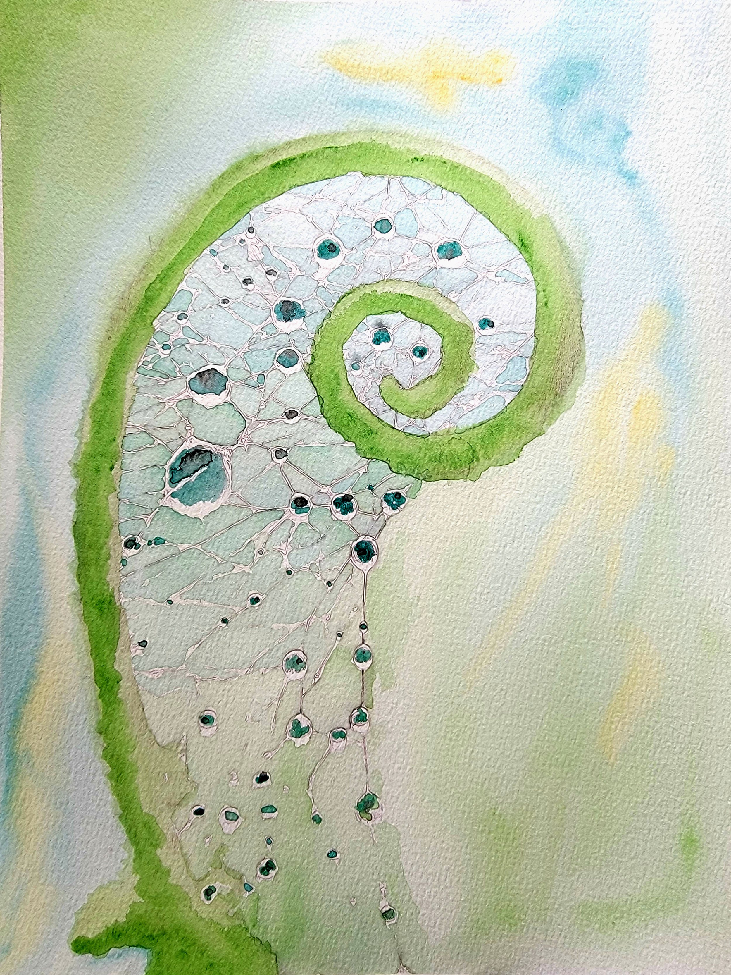 First Light, Last Thread - A fern unfurls into morning light, its spiral draped in dew and a spider’s web.