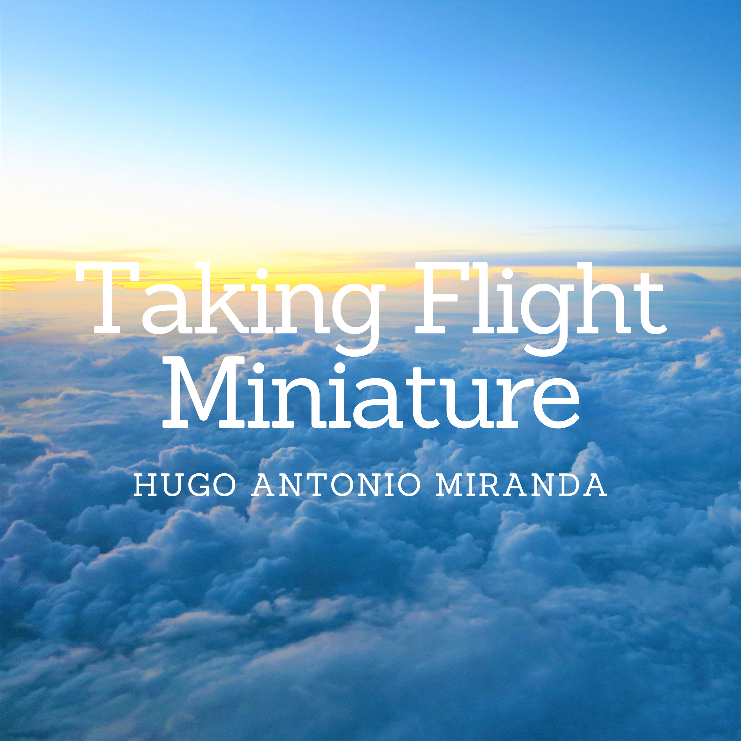 Taking Flight Miniature cover.png