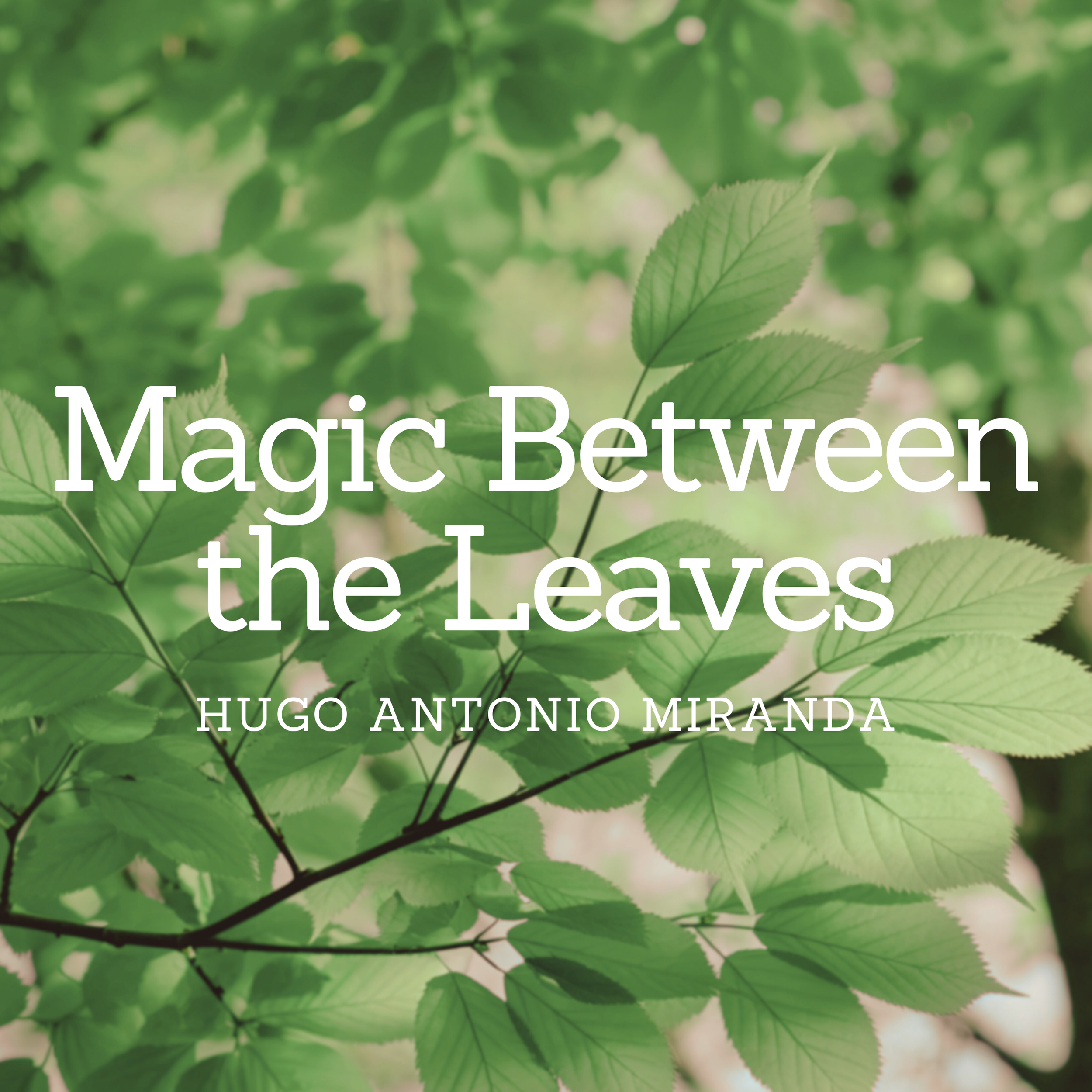 Magic b the leaves cover.png