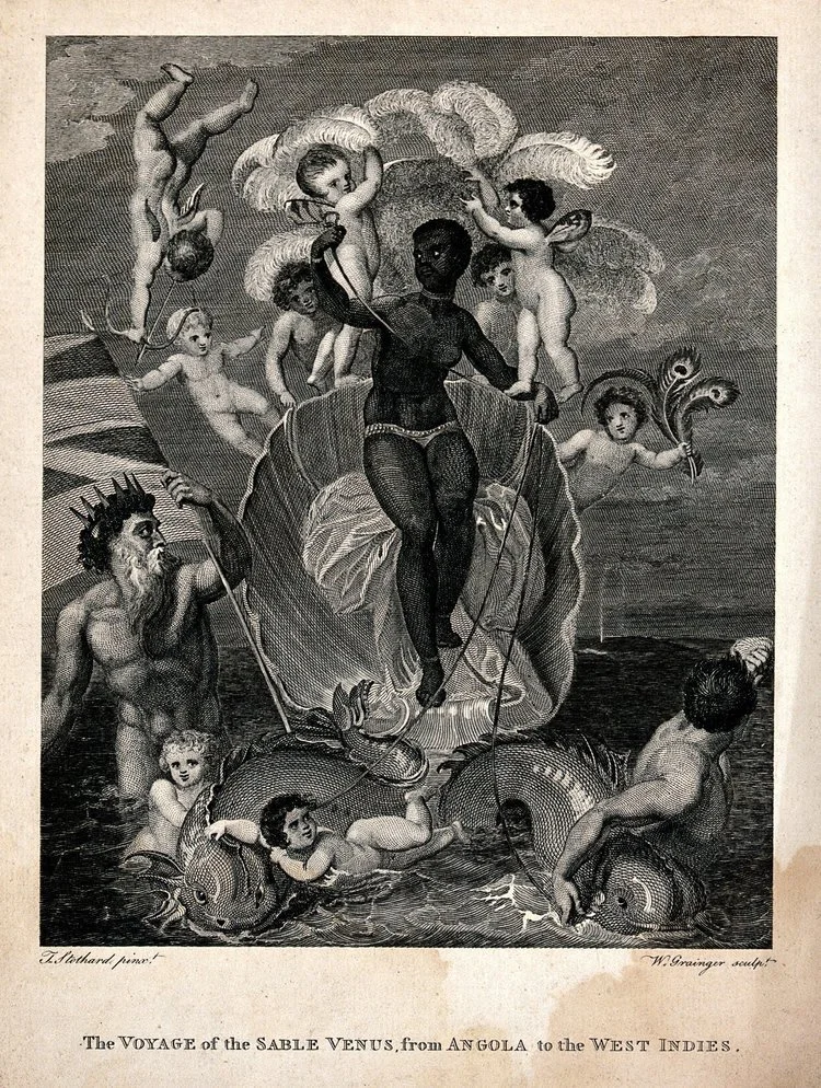 VÉNUS NOIRE, ANATOMIE DU REGARD