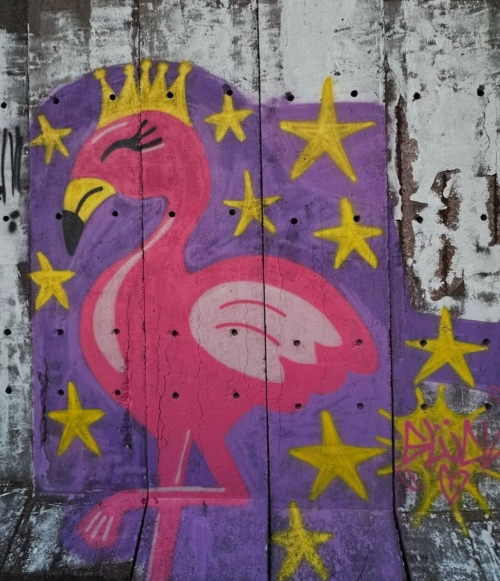 Birds Jam #1 Cait