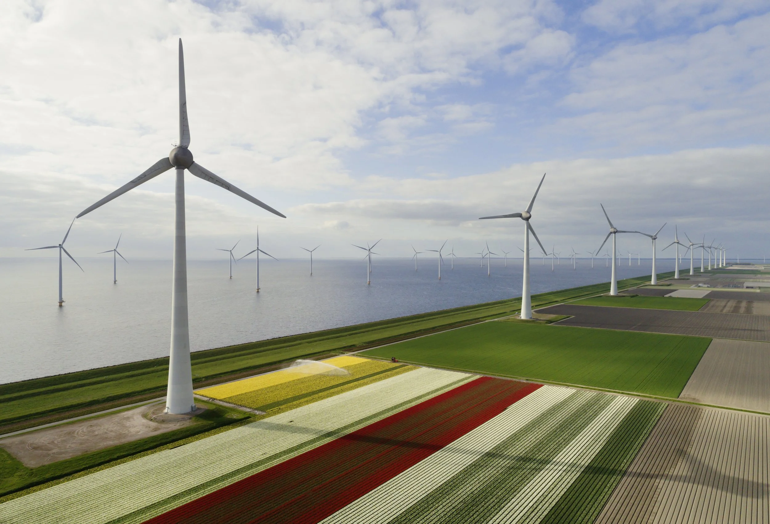 Aerial view of a wind farm with multiple wind turbines near a shoreline and farmland with colorful crops.