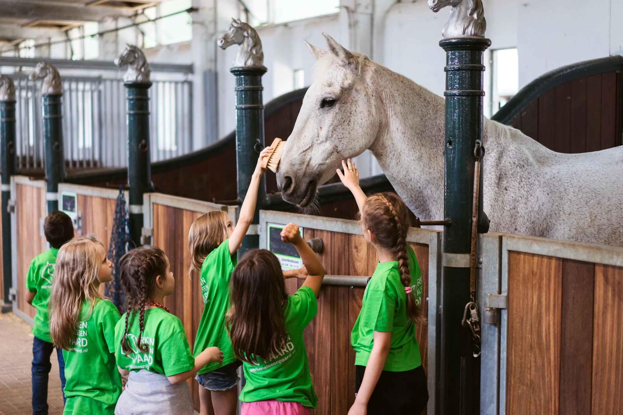 A group of children in green shirts feeding a large, gray speckled horse inside a stable. One girl is brushing the horse's nose with a brush, while others watch and reach out.