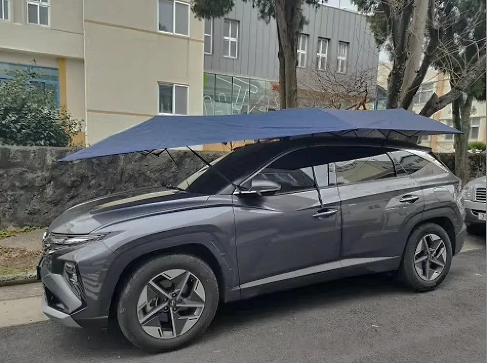 car+canopy.jpg