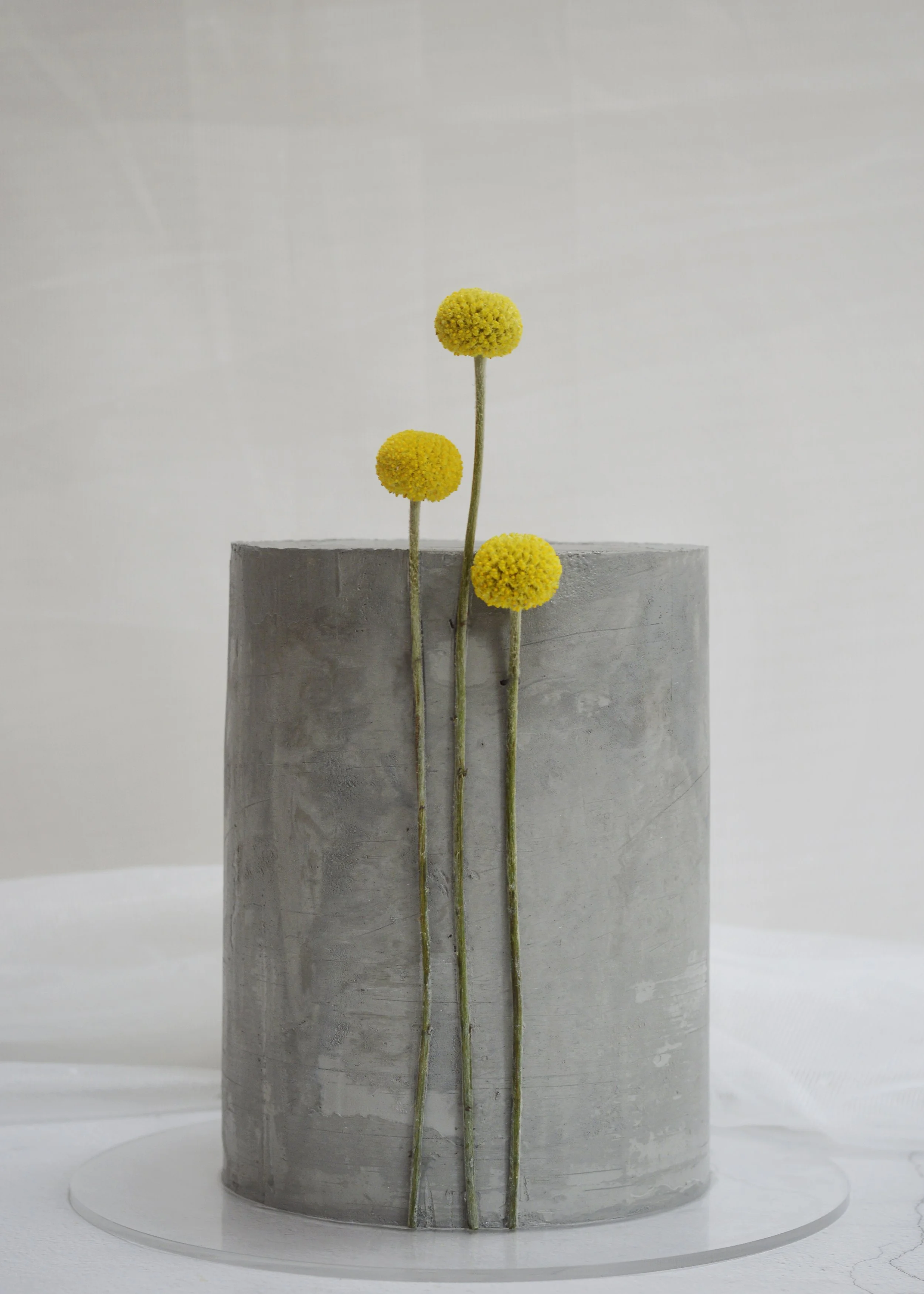 Brutalist | Contemporary