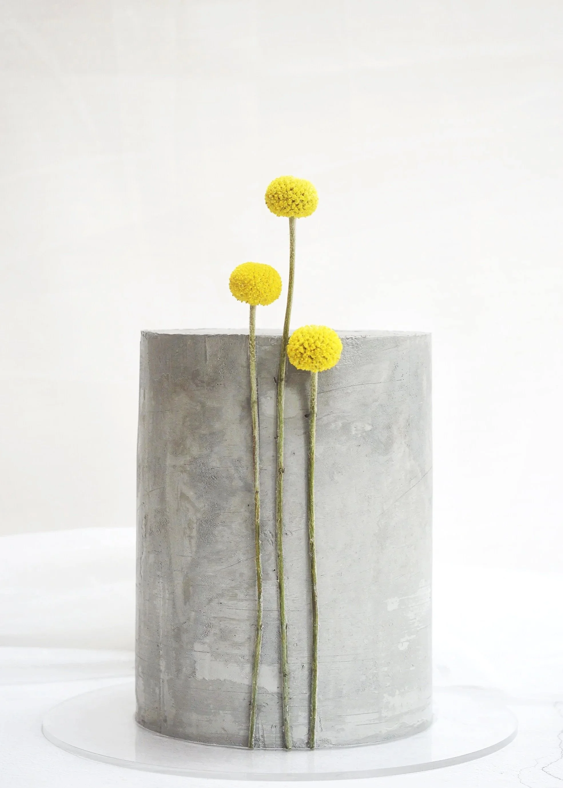 concrete%2Bcake.jpg