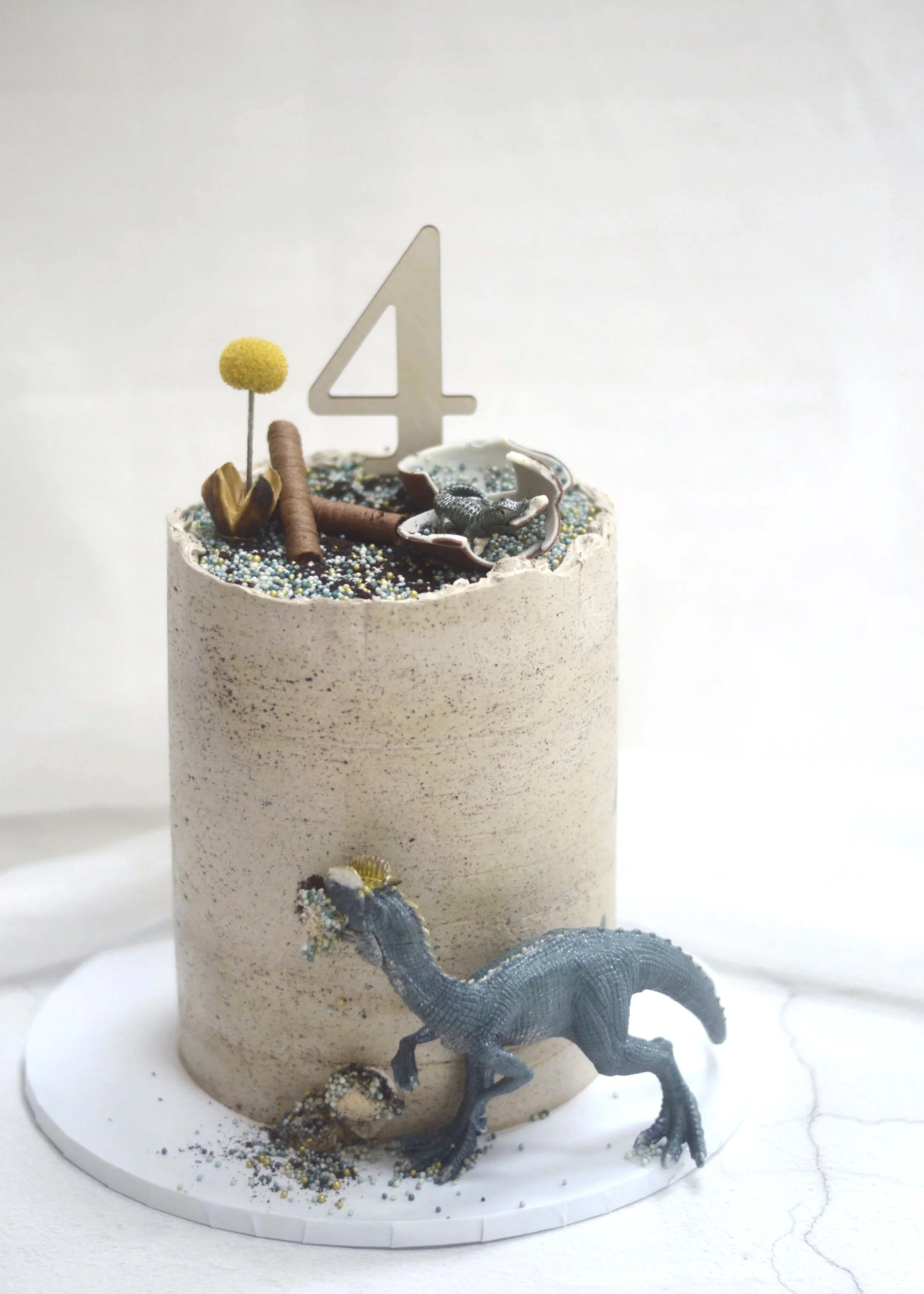 Bespoke birthday cake with contemporary design, dinosaur themed cake, handmade in Manchester