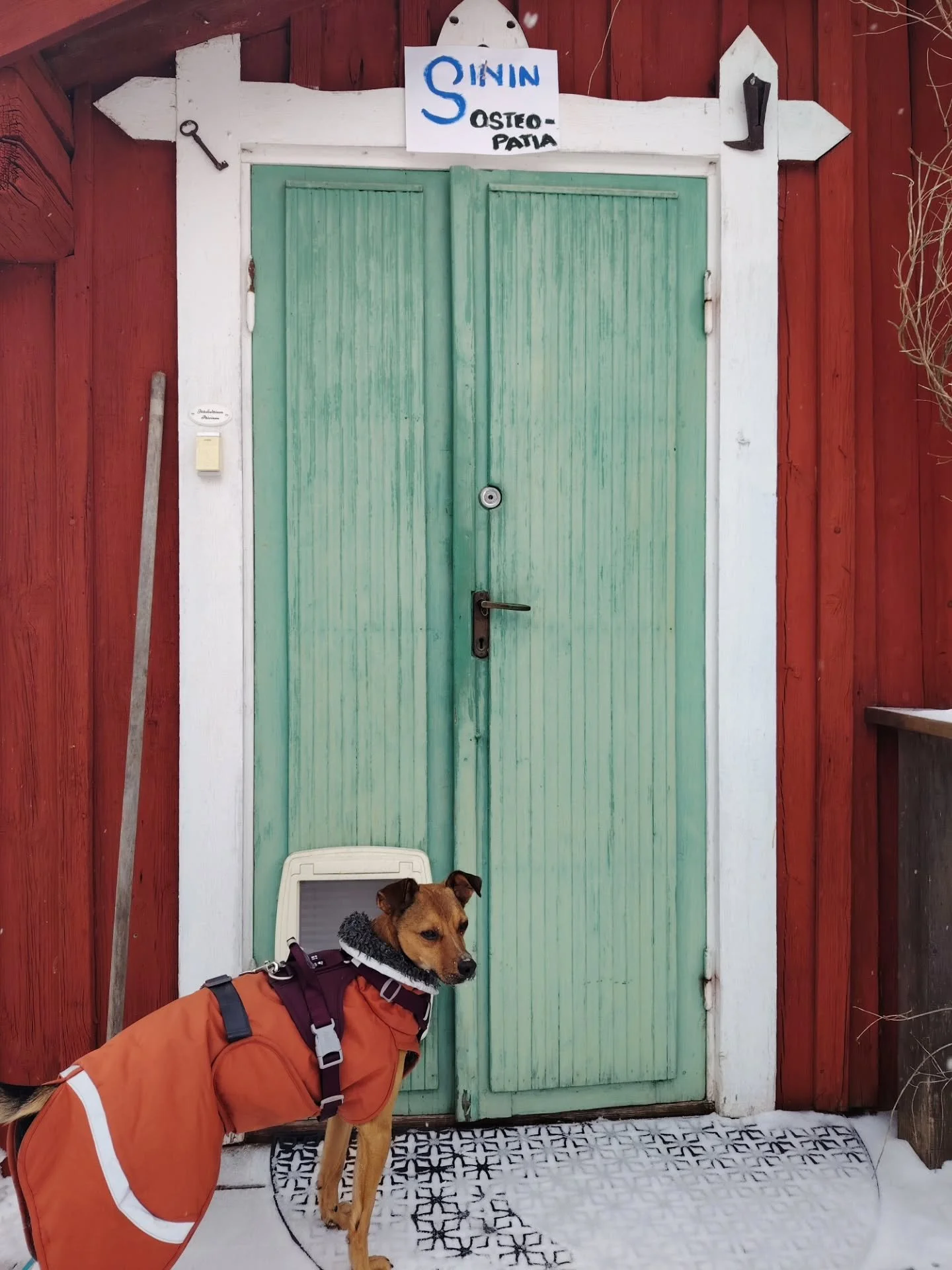 T&ouml;tt&ouml;r&ouml;&ouml;&ouml;, Sinin kotivastaanotto on vihdoin auki! 😍 Viralliset kyltit viel&auml; uupuu, ja superhieno hoitop&ouml;yt&auml;kin on viel&auml; postin hell&auml;ss&auml; huomassa, mutta nyt aika toiminnan k&auml;ynnisty&auml;! ?