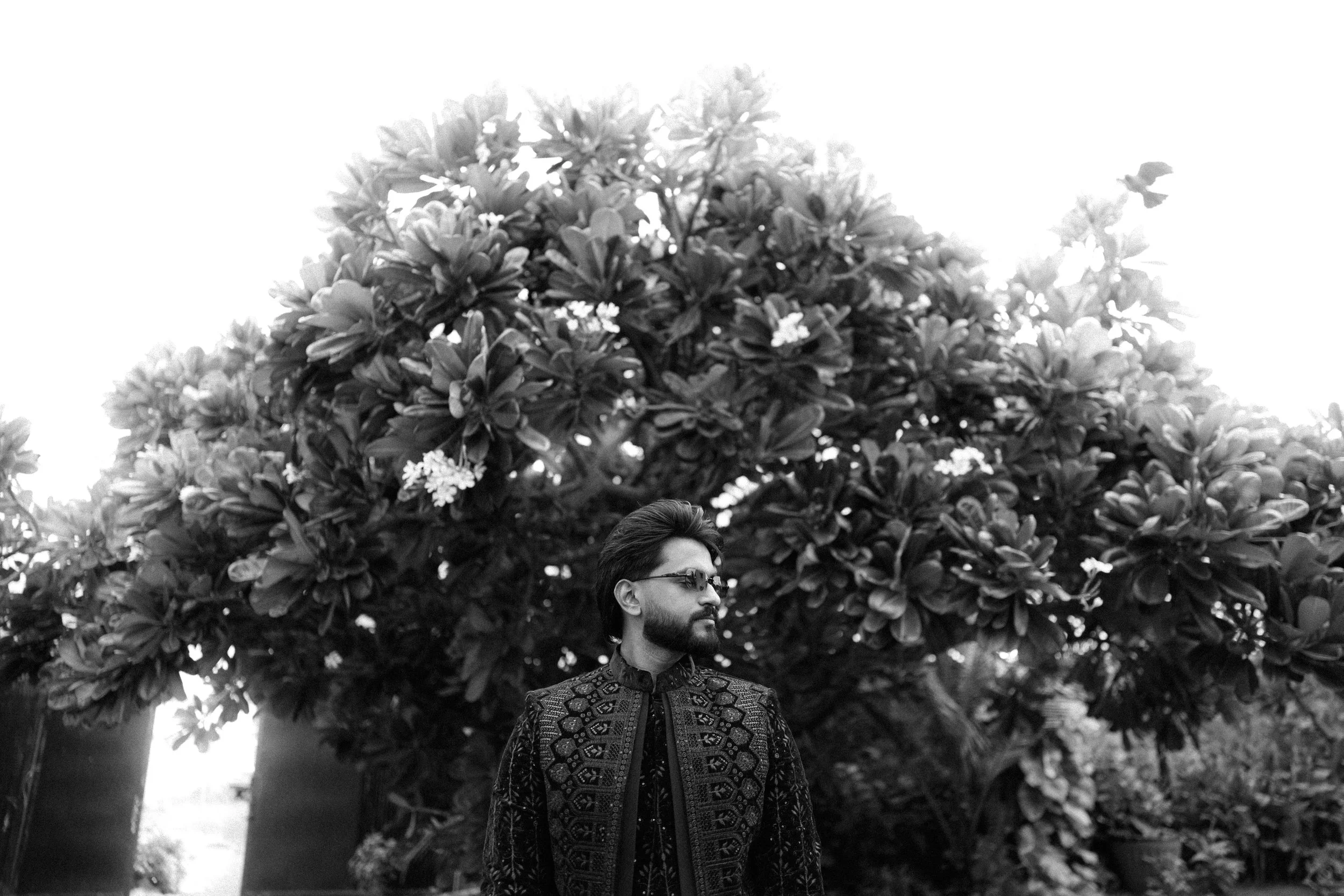 RAVI9807.jpg