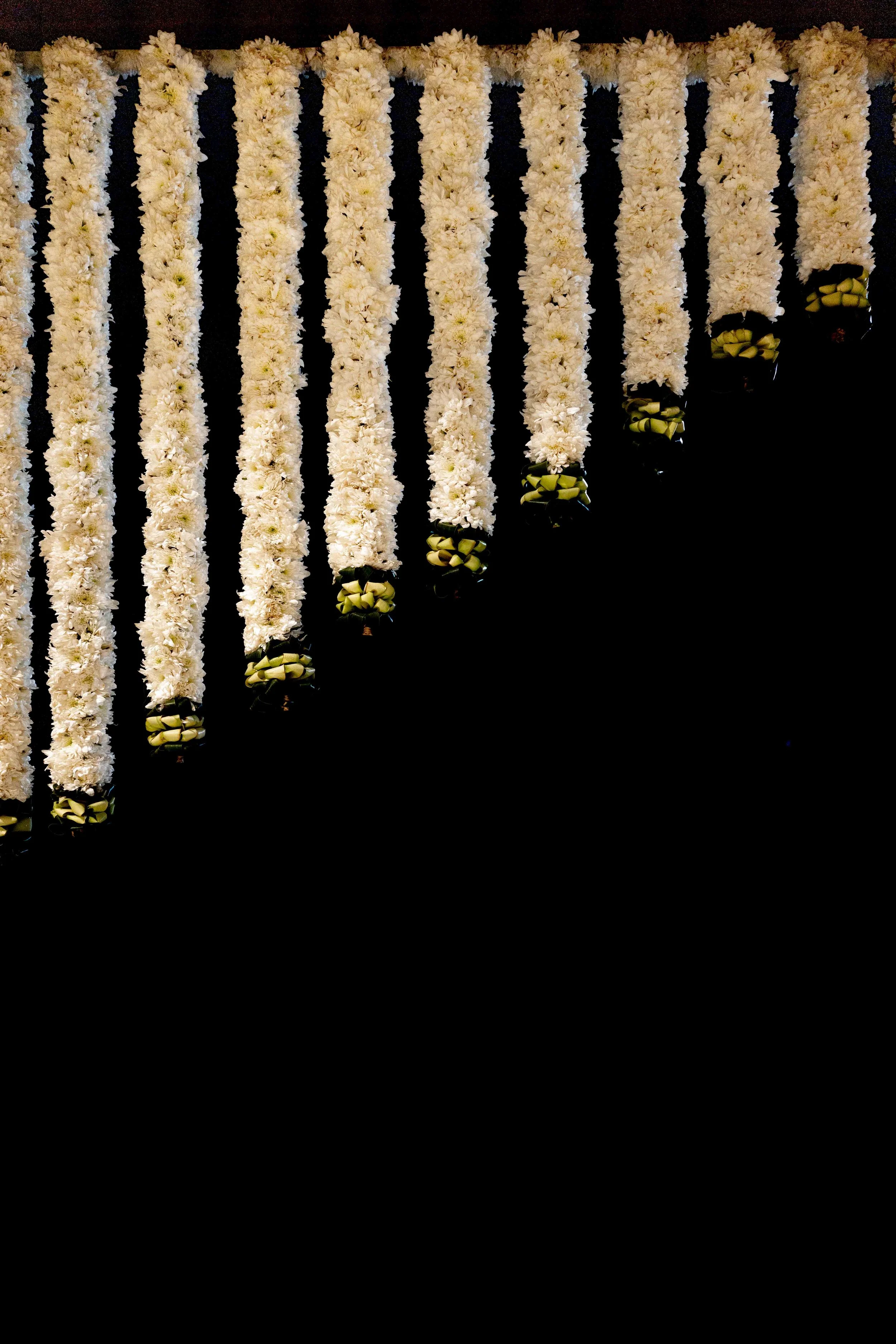 MFH_5656.jpg