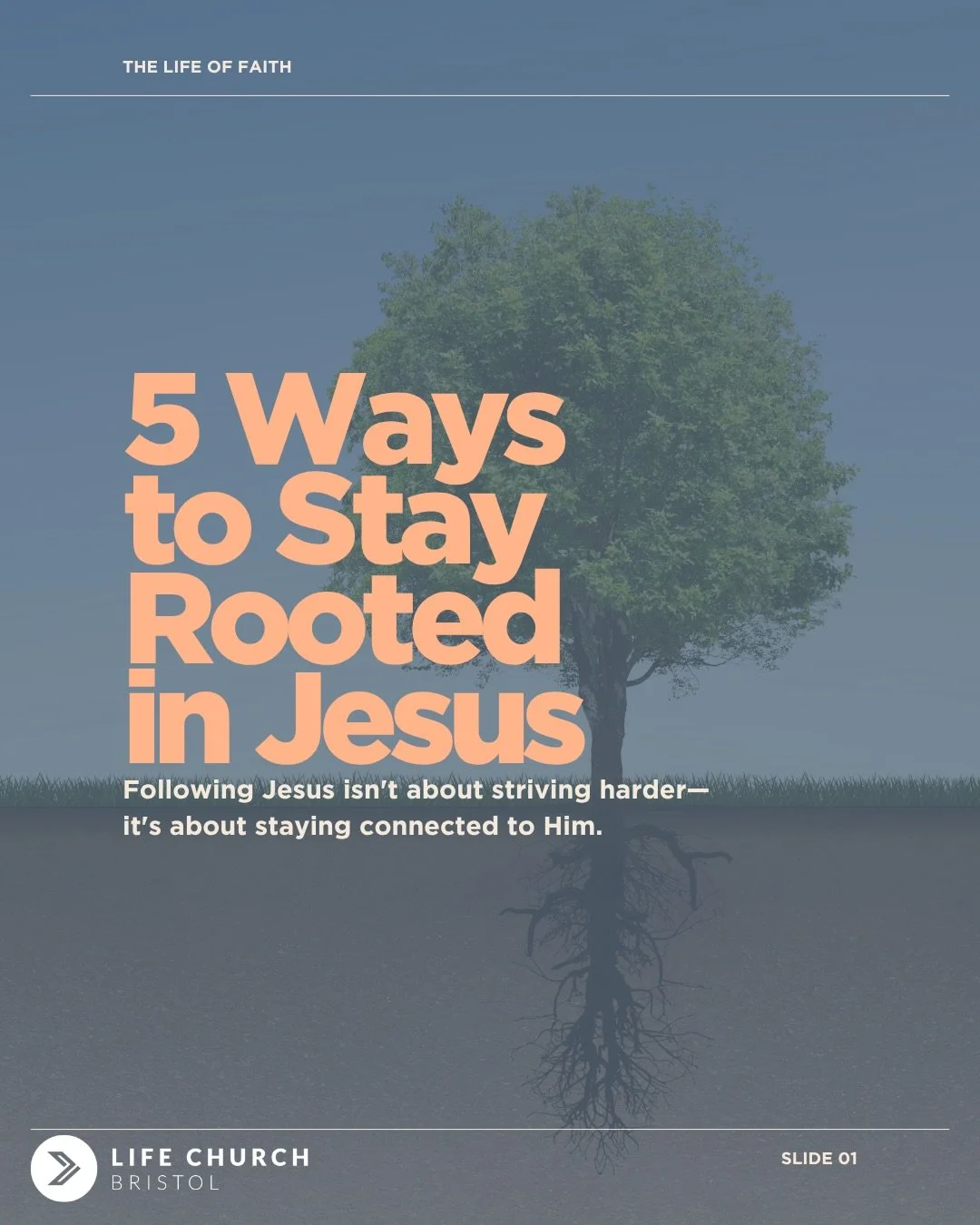 Following Jesus isn&rsquo;t about striving harder&mdash;it&rsquo;s about staying connected to Him.

No one gets this right all the time, but every day is another opportunity to take one small step towards Jesus.

Which of these helps you stay rooted 