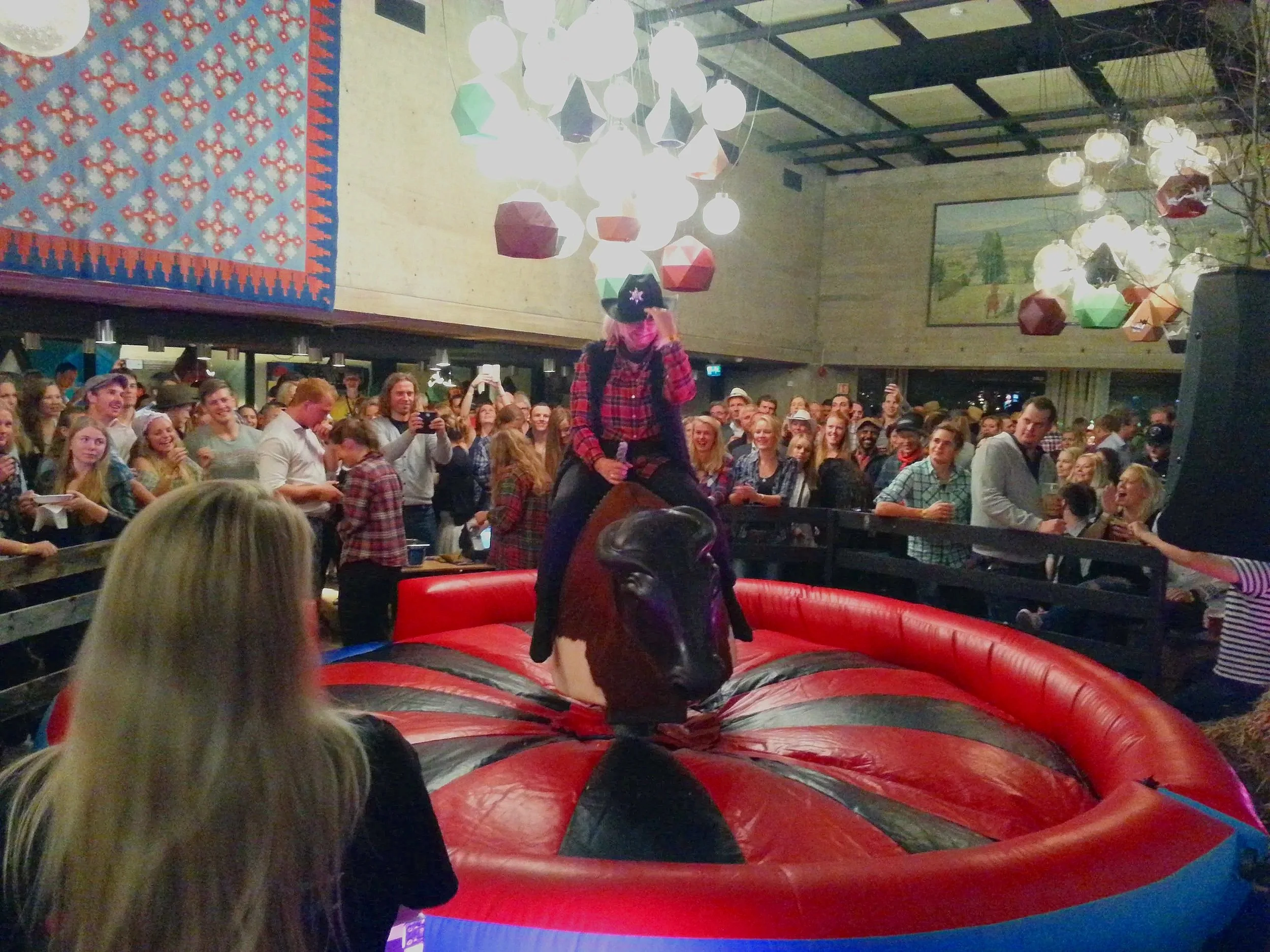 Mekanisk rodeookse til leie for fest og firmaevent