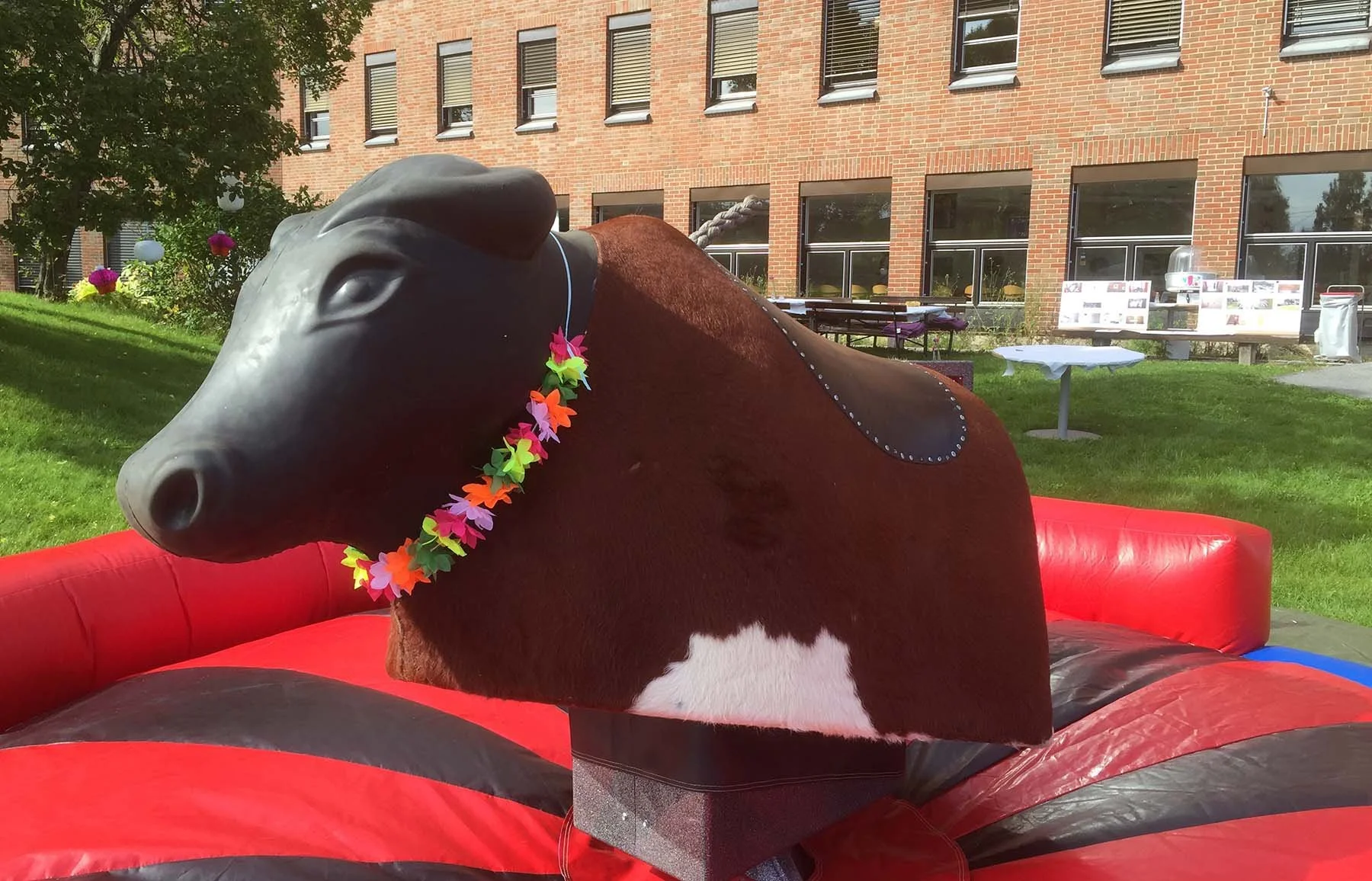 Stor mekanisk rodeo okse for ungdom og voksne