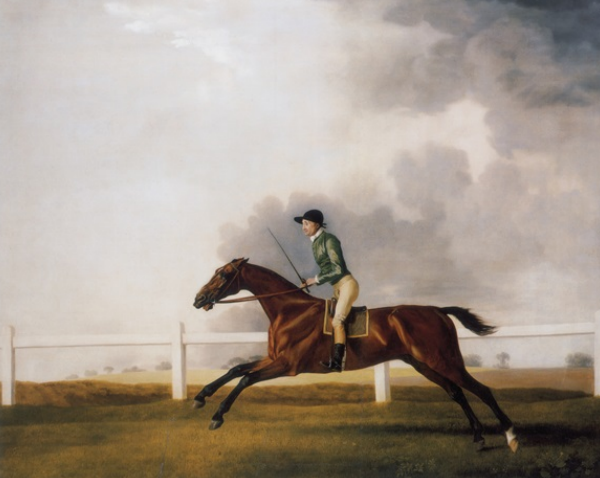 Bay Malton with John Singleton up