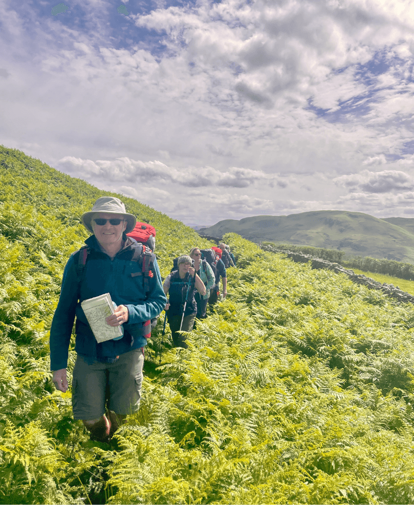 A group of hikers on their wilderness expedition walking through bracken and admiring the view.